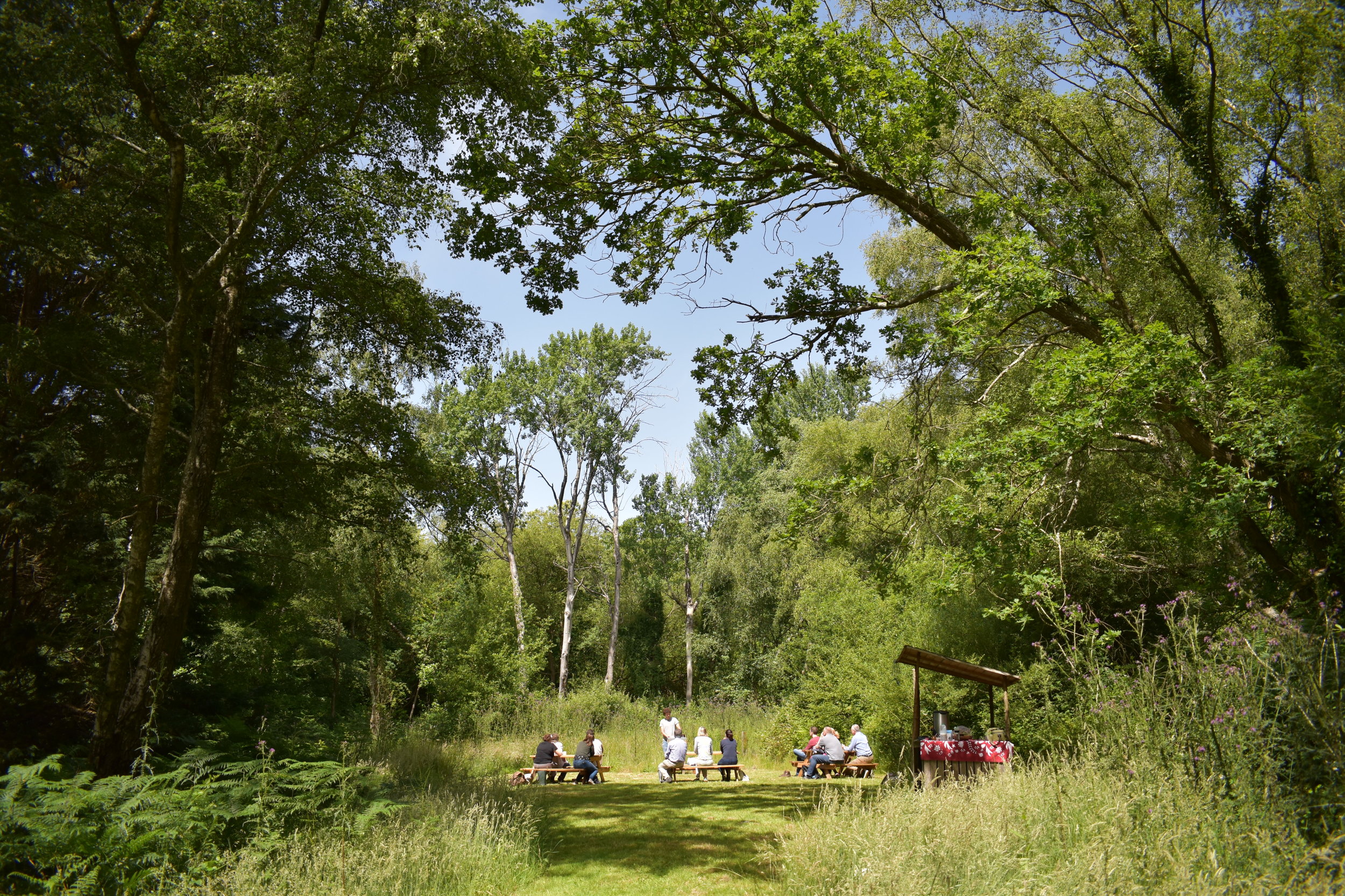 Beekeeping experience days set in a wildlife woodland in The New Forest.