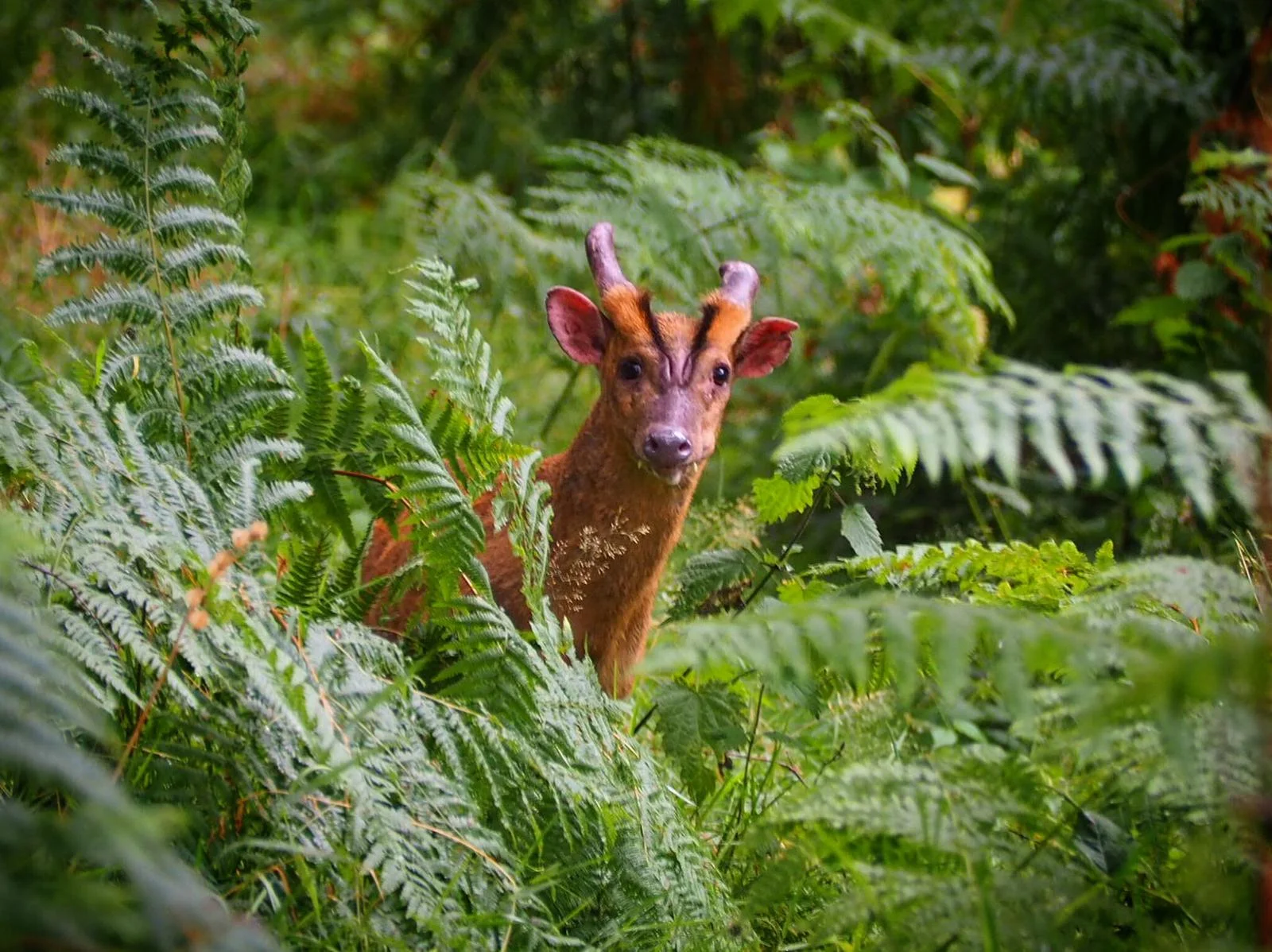 A photo of ‘Chris’ taken by Martin Noble.