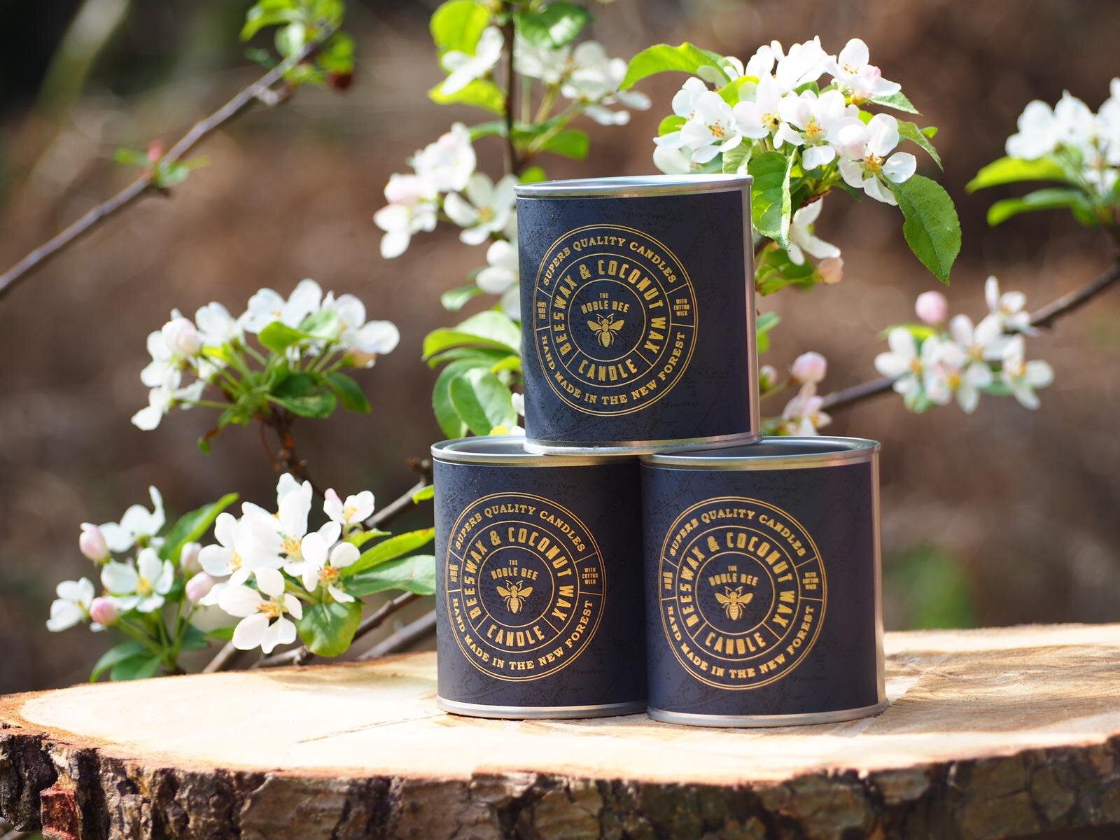 The Noble Bee. The New Forest.