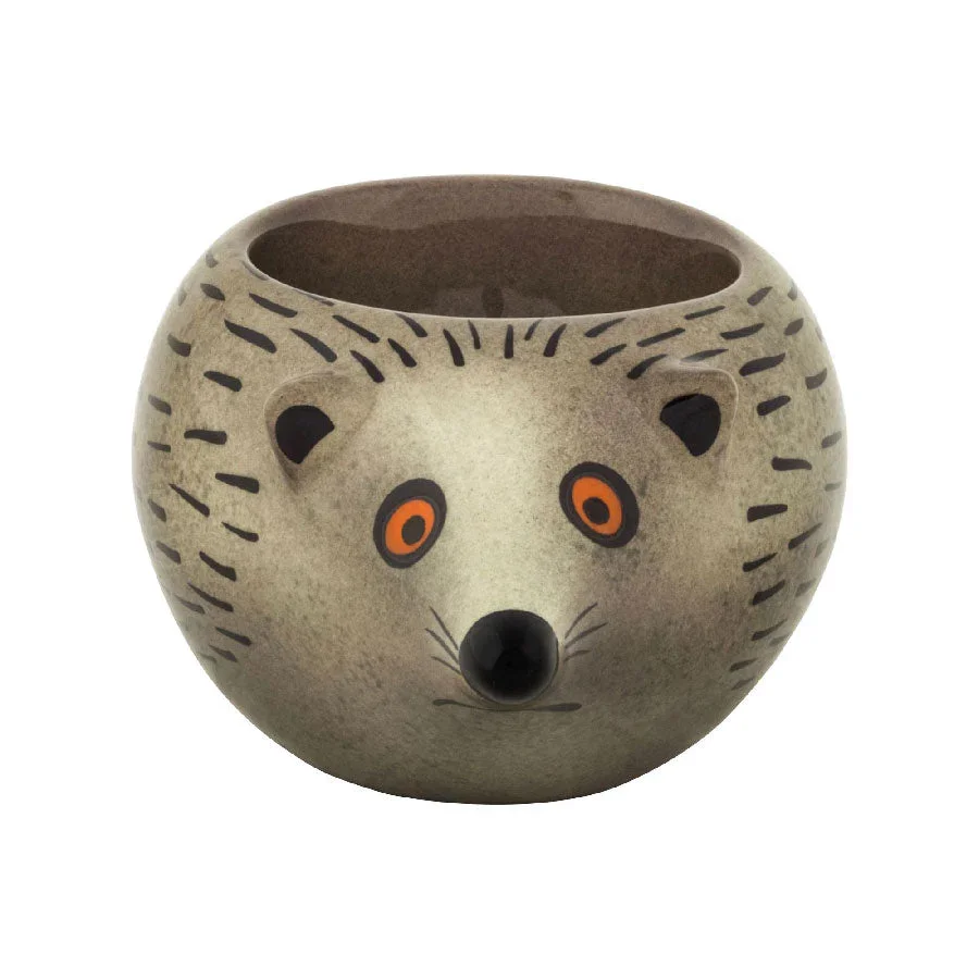 Hedgehog-planter-cut-out-900x900-_-hannah-turner_def4335d-ac5b-4988-b219-6f2721b92188 (1).webp