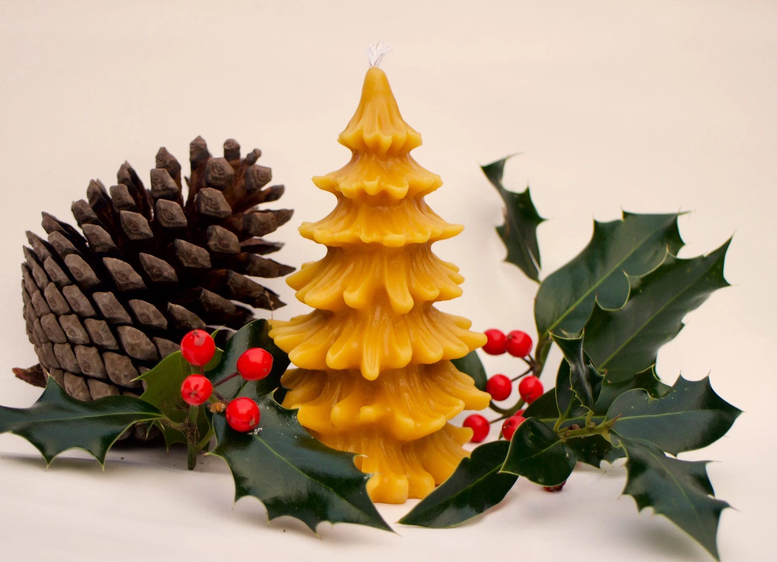 Xmas tree festive.jpeg