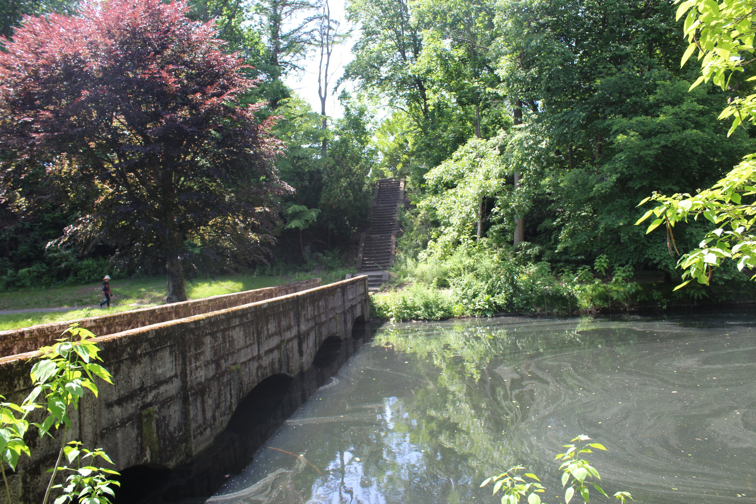 Dickson Bridge and Steps