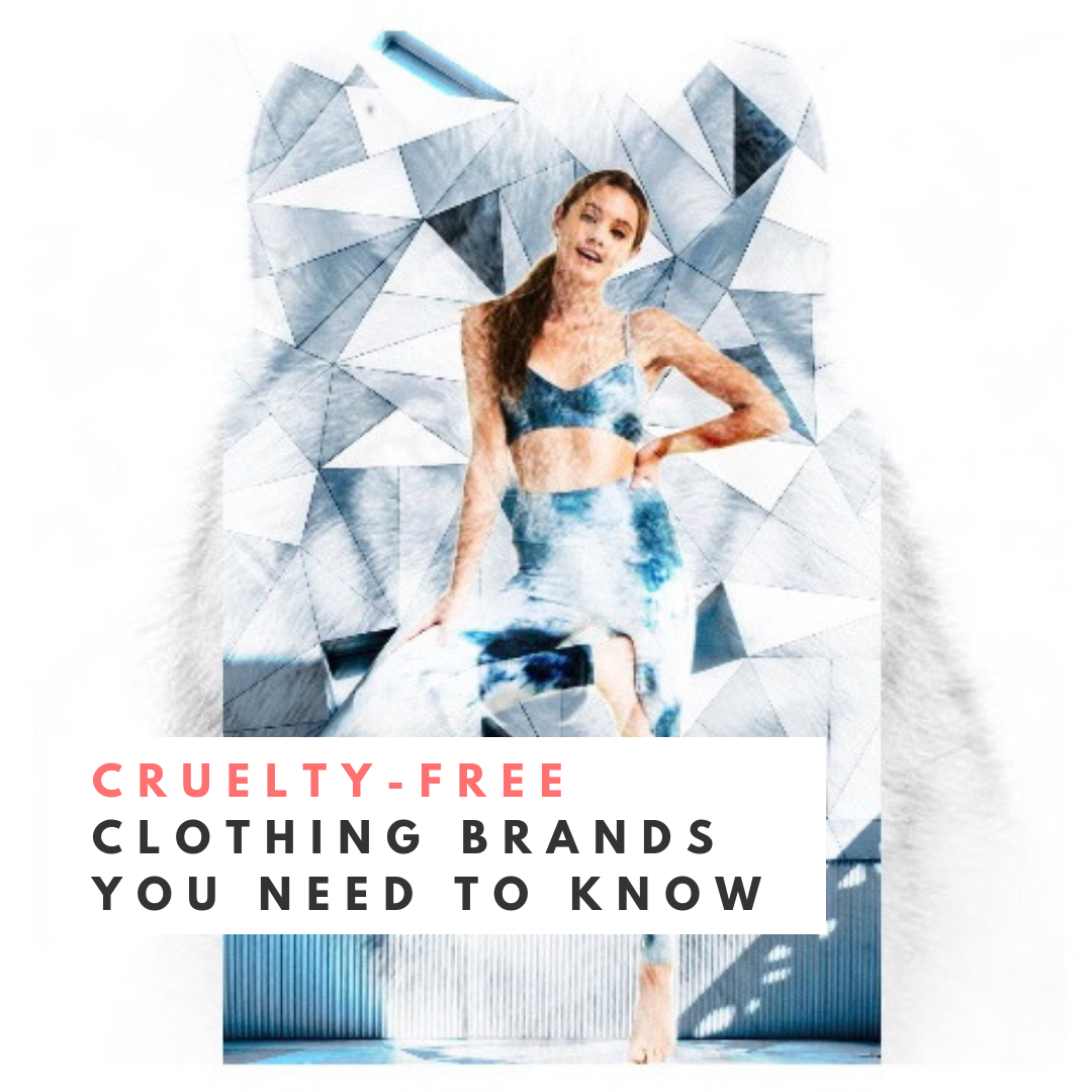Cruelty Free Clothing Brands you Need to Know — The Yogi Press