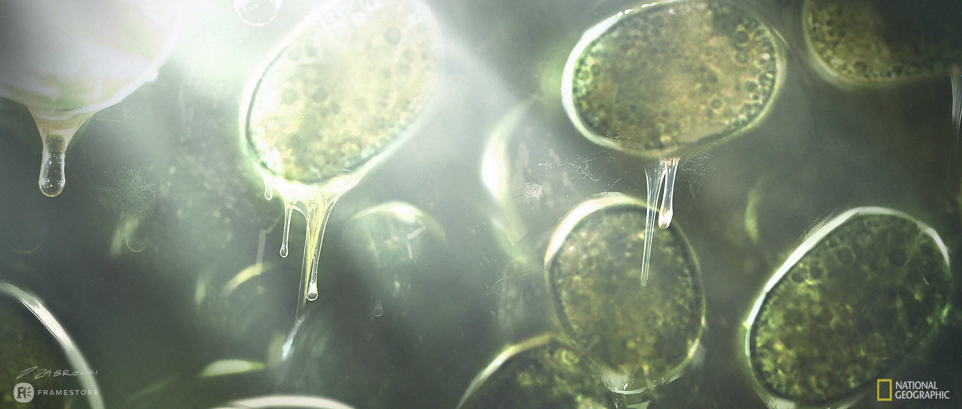 early-earth-lava-photosynthesis2_001_DarekZabrocki.jpg