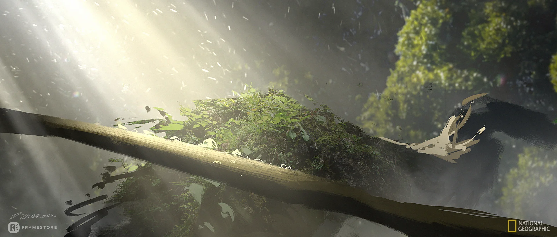 early-earth-photosynthesis1_001_DarekZabrocki.jpg