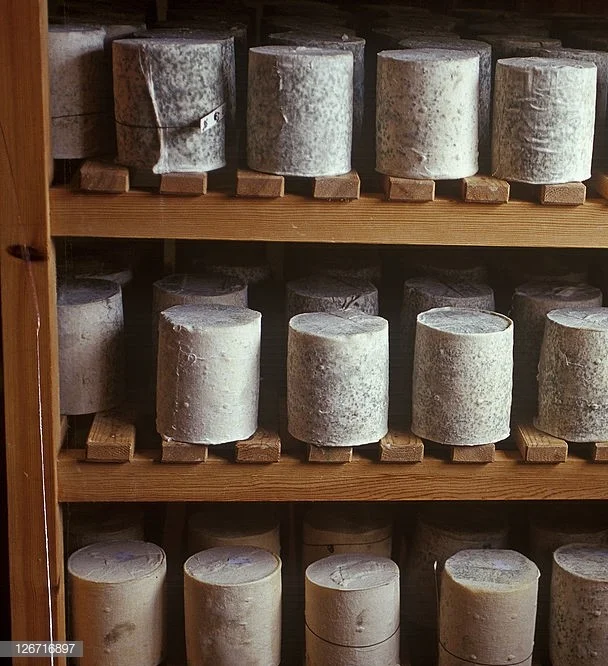 Storing and maturing of Cumberland Farmhouse