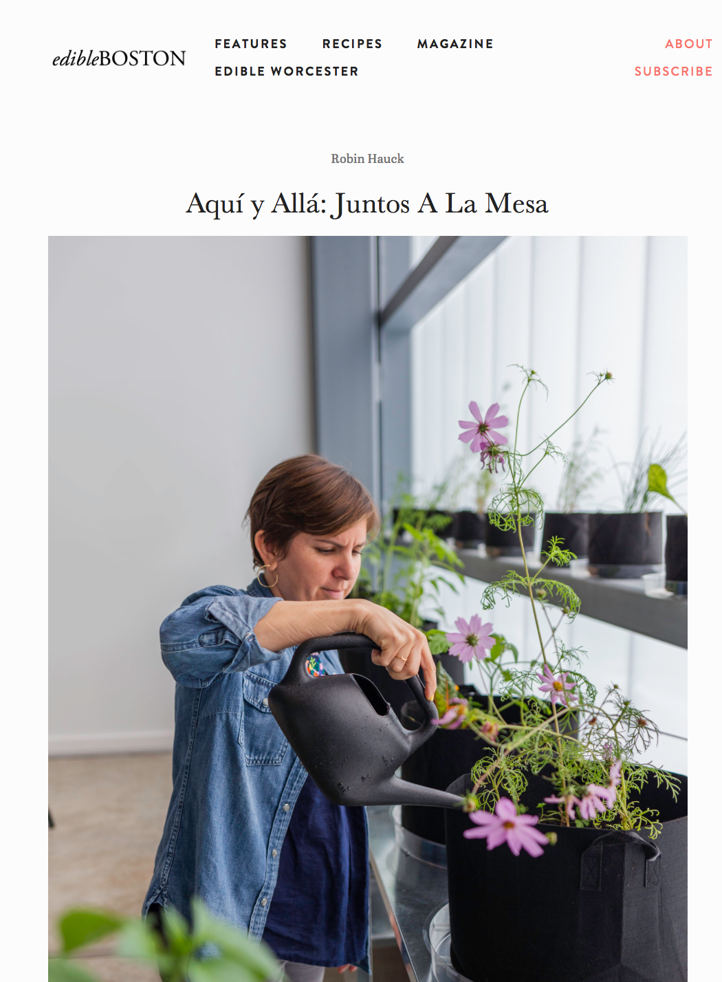 Screen Shot 2019-08-29 at 10.17.45 AM.png