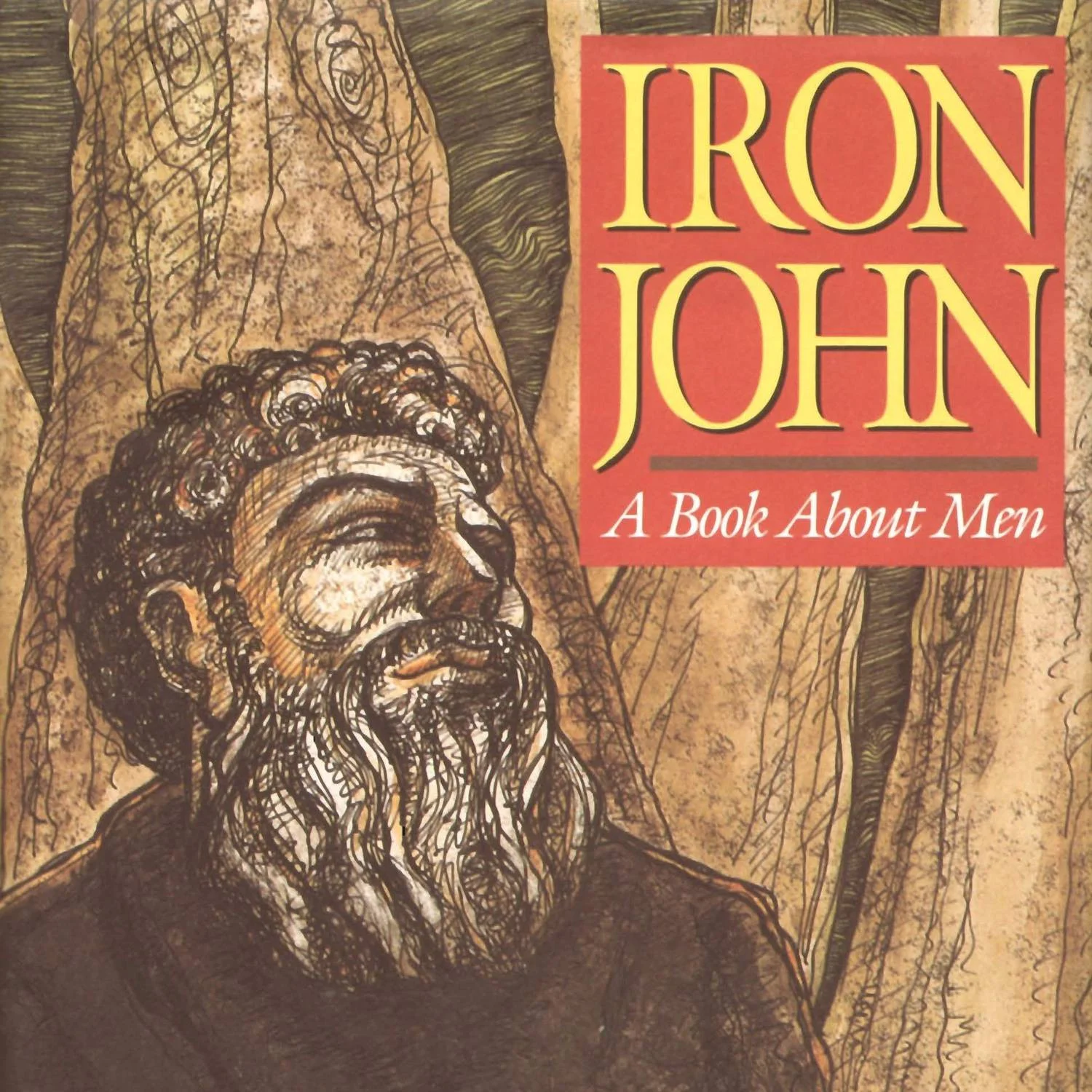 robert-bly-iron-john.jpg