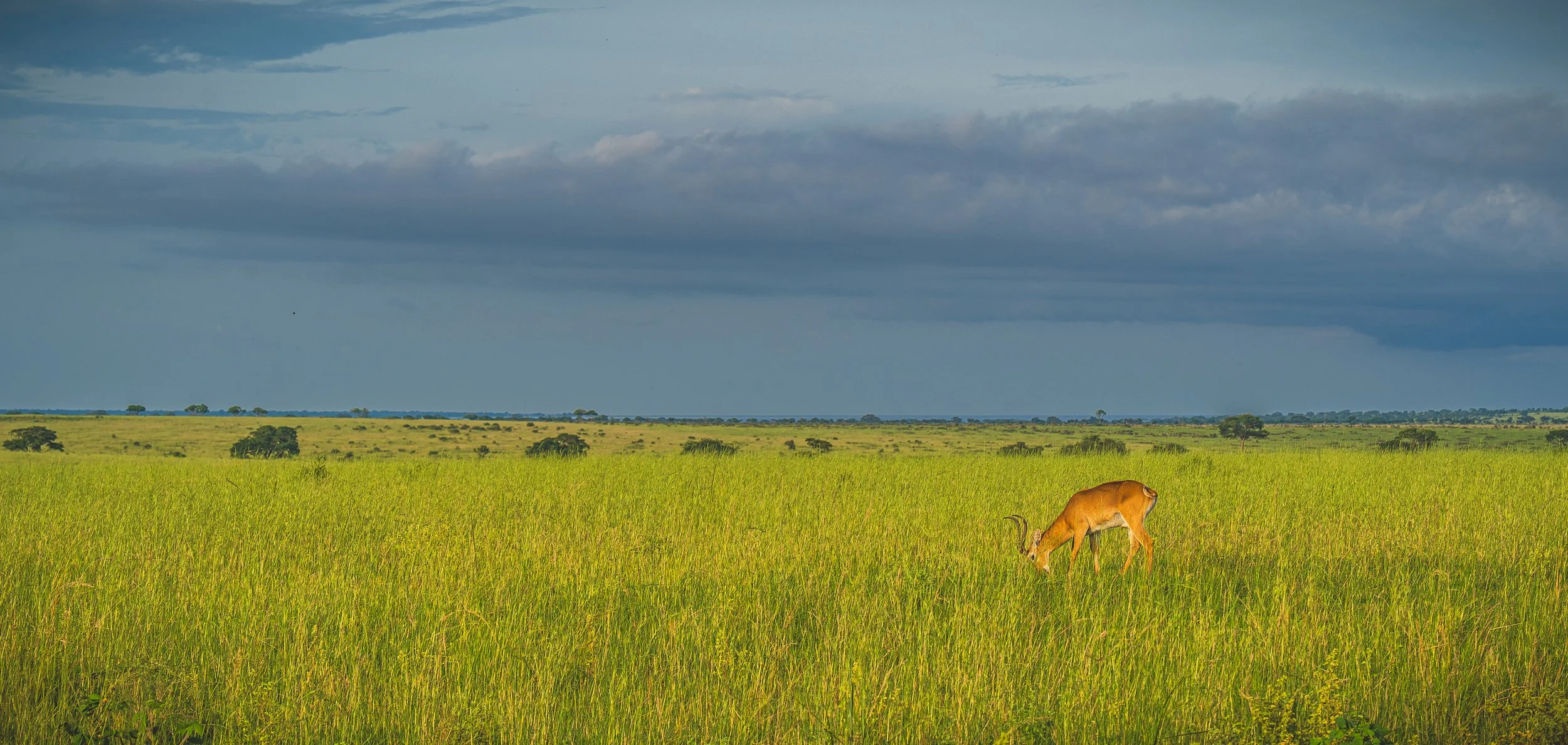 SSE_SSPP_UGANDA_2025_Lars_Broslet_small-990.jpg