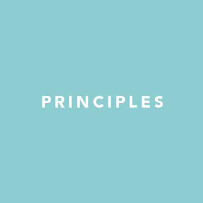 BOOK PITCH DOCTOR PRINCIPLES