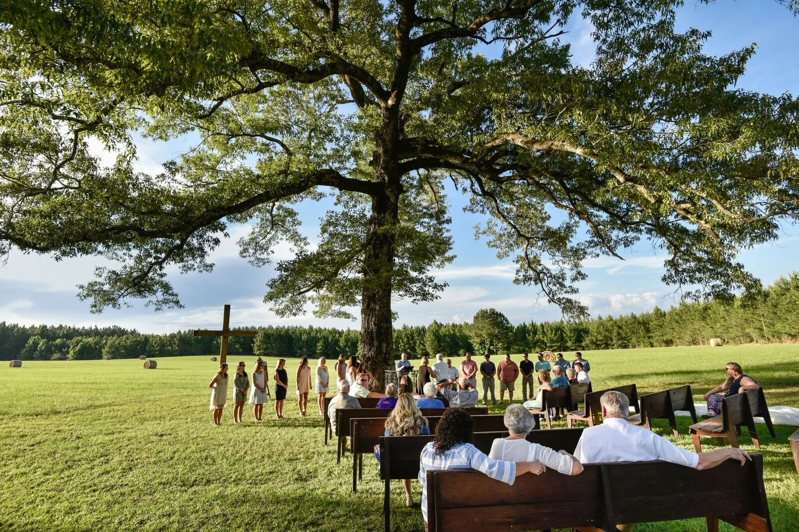 Rehersal Under Tree.jpg