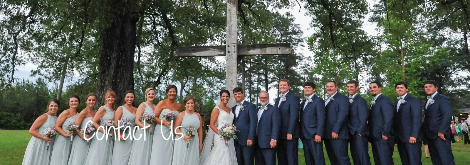 Wedding Party Under Tree.jpg