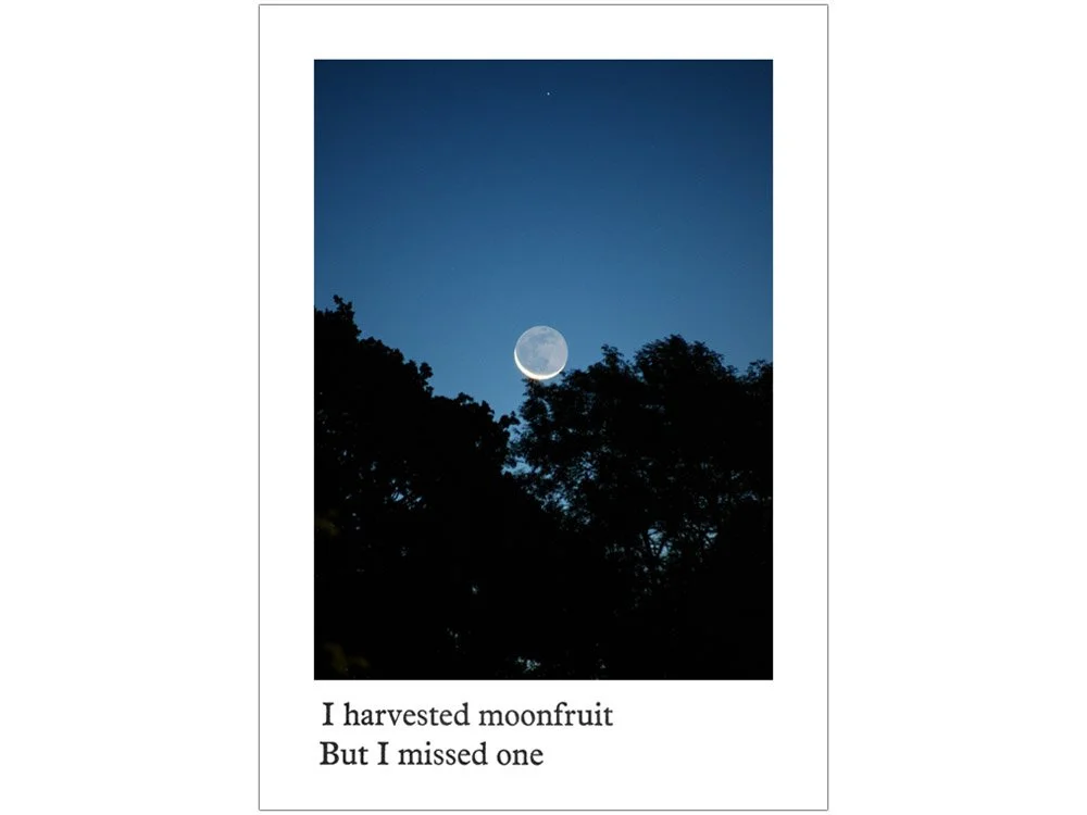 I harvested moonfruit