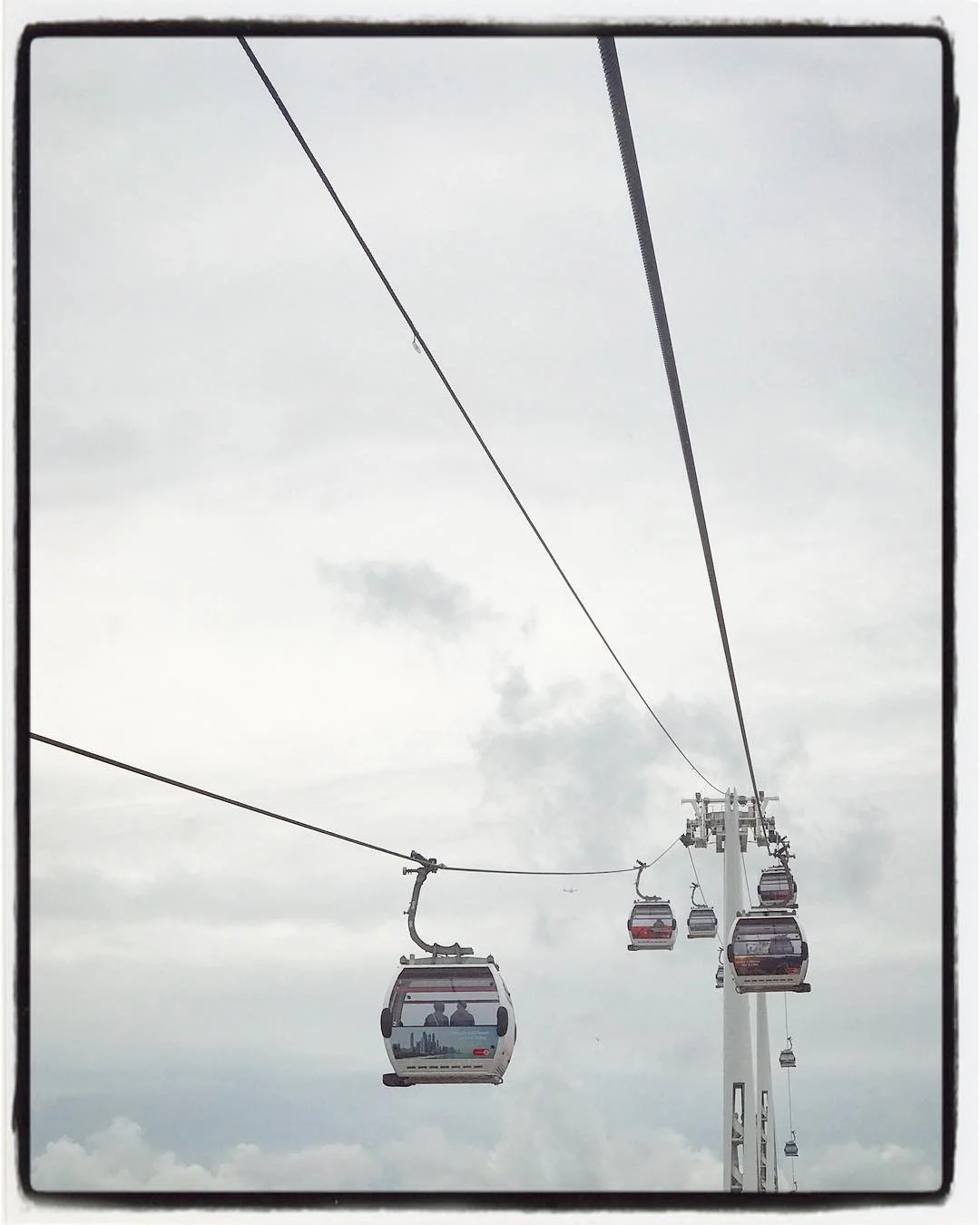 IMG_3590.jpeg