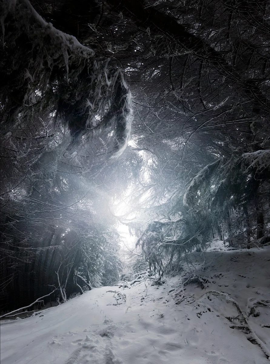 Shostakovich - Symphony No. 11 'The Year 1905'