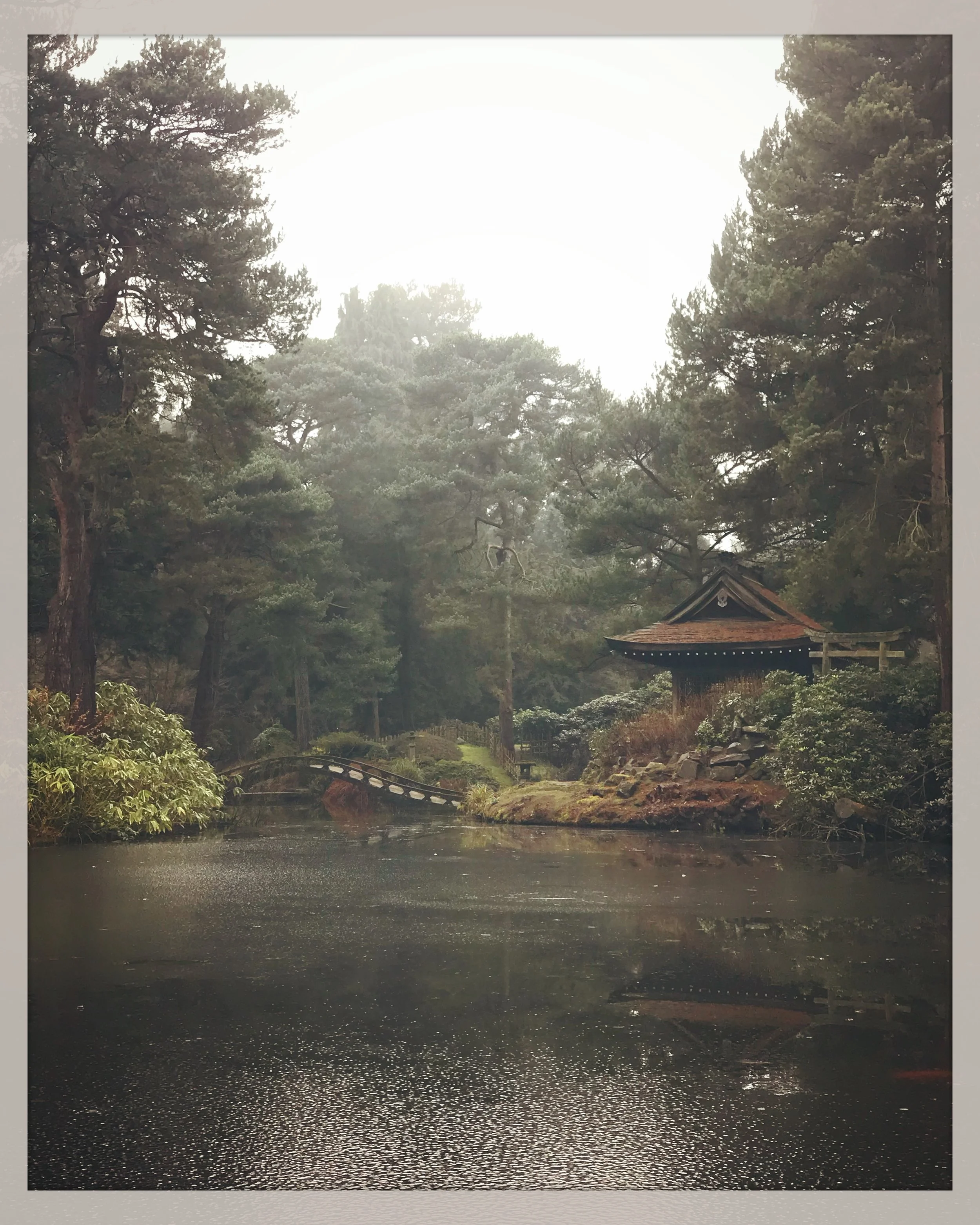 IMG_9768.jpeg