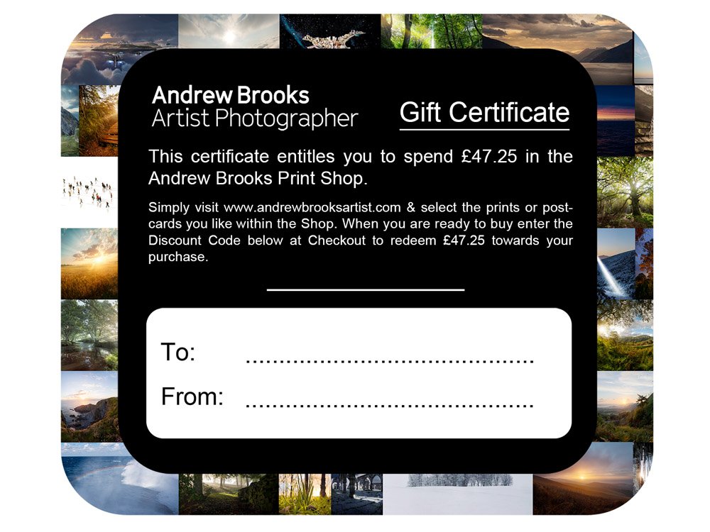 Gift Certificate - You ARE an ARTiST!