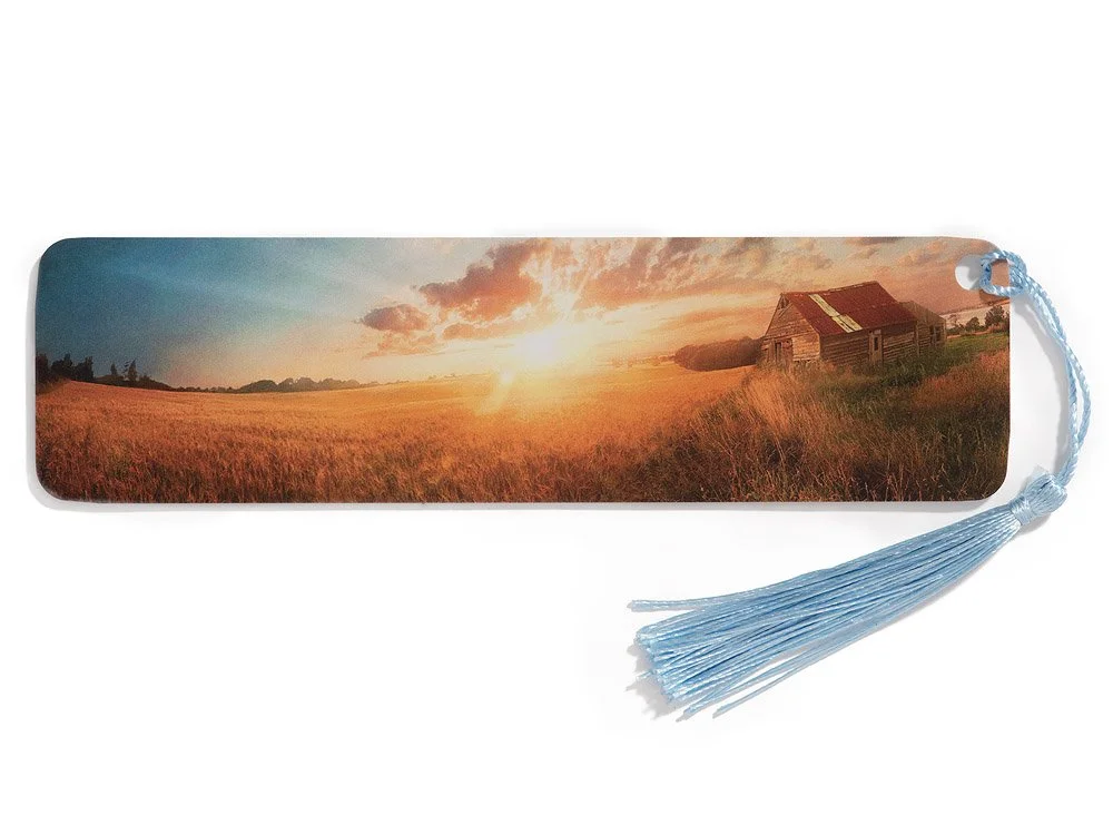 Wheatfield in the South of England