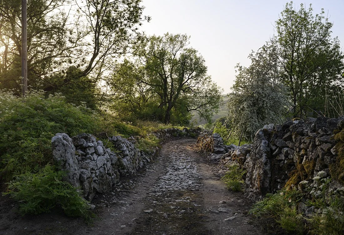  A Lane In The Derbyshire Dales, near Middleton-by-Wirksworth  Available to own as a  print  