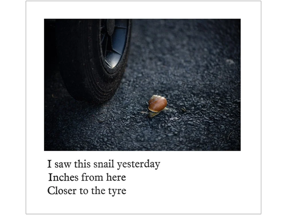 I saw this snail