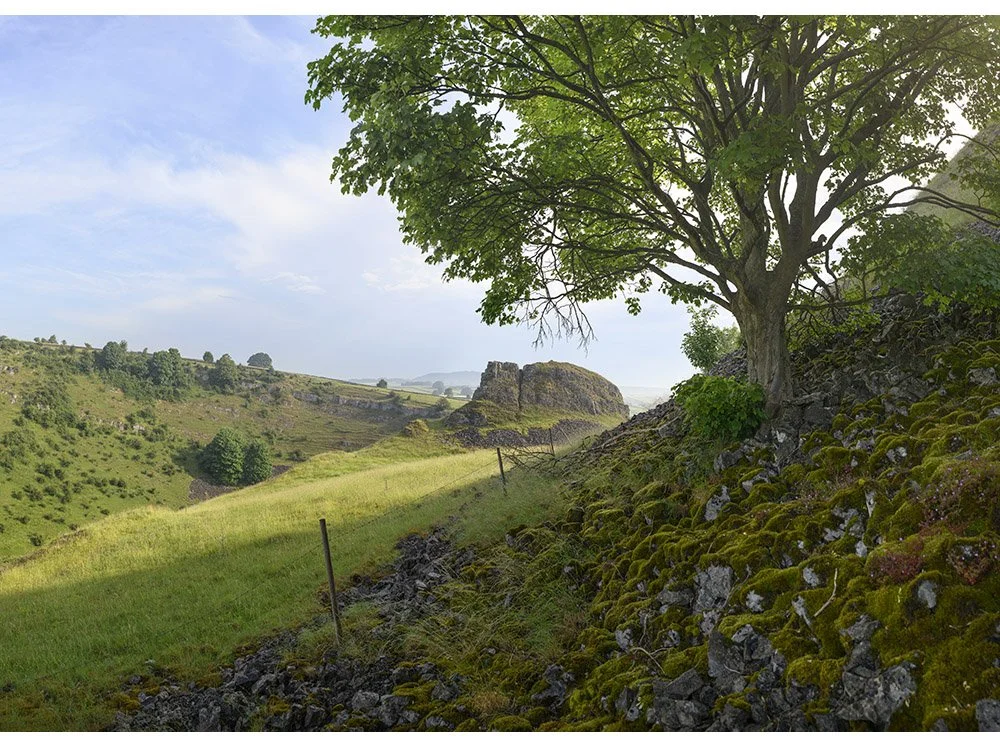 Peter'sStoneAndCressbrookDale_Shop.jpg