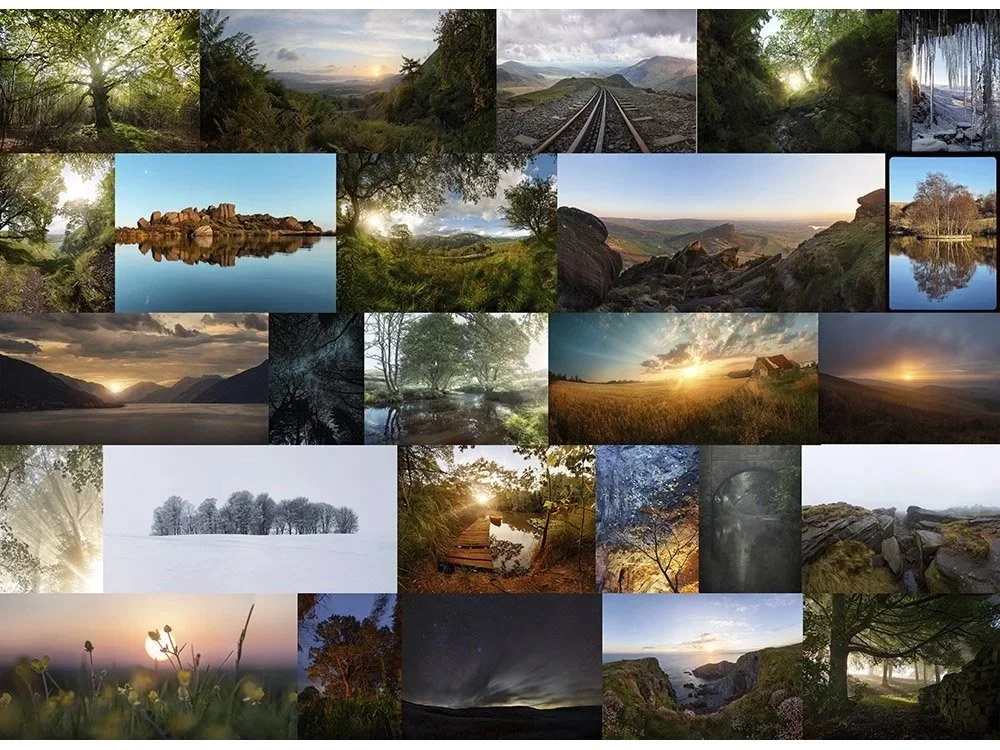 Landscapes.jpg