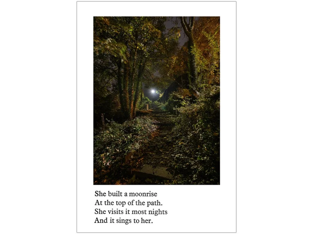 She built a moonrise