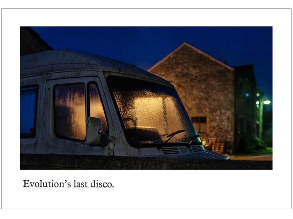 Evolution's last disco