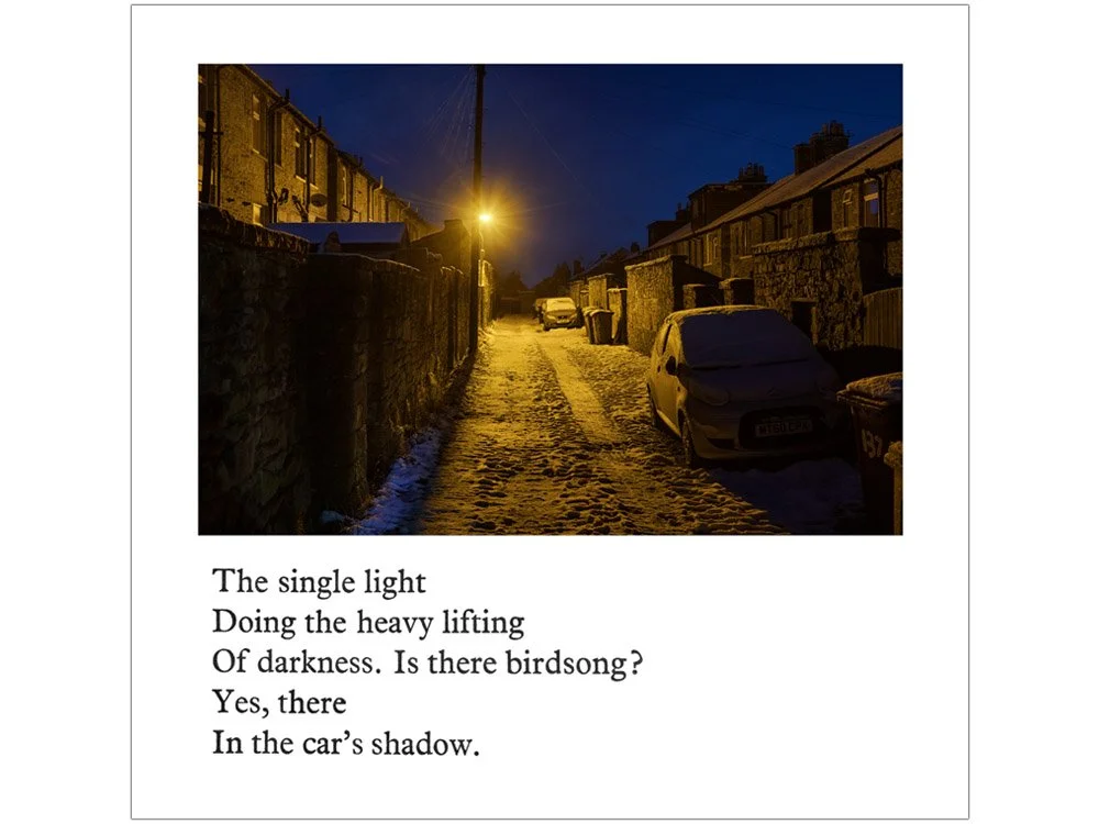 The single light