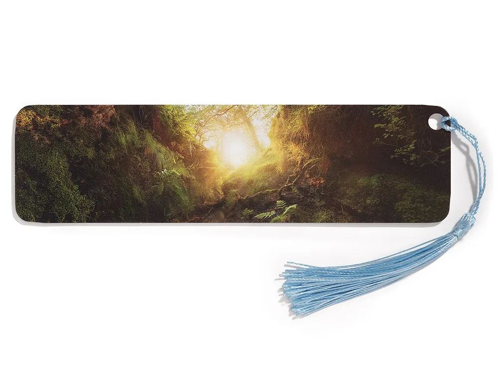 Sunrise, a stream in the Hope Valley