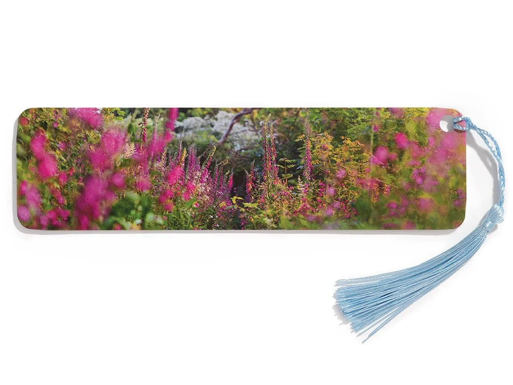 Path through the Foxgloves