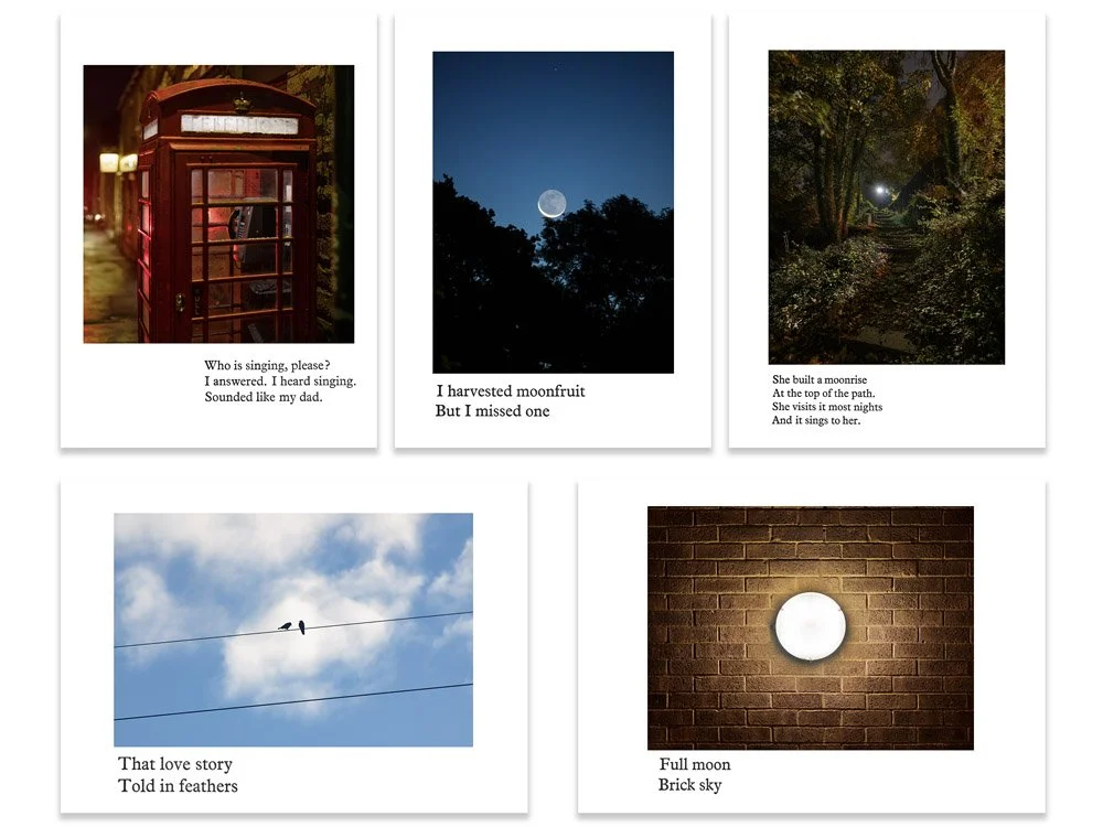 Postcards packs - The Songs The Morning Sang - 10 postcards of 5 designs