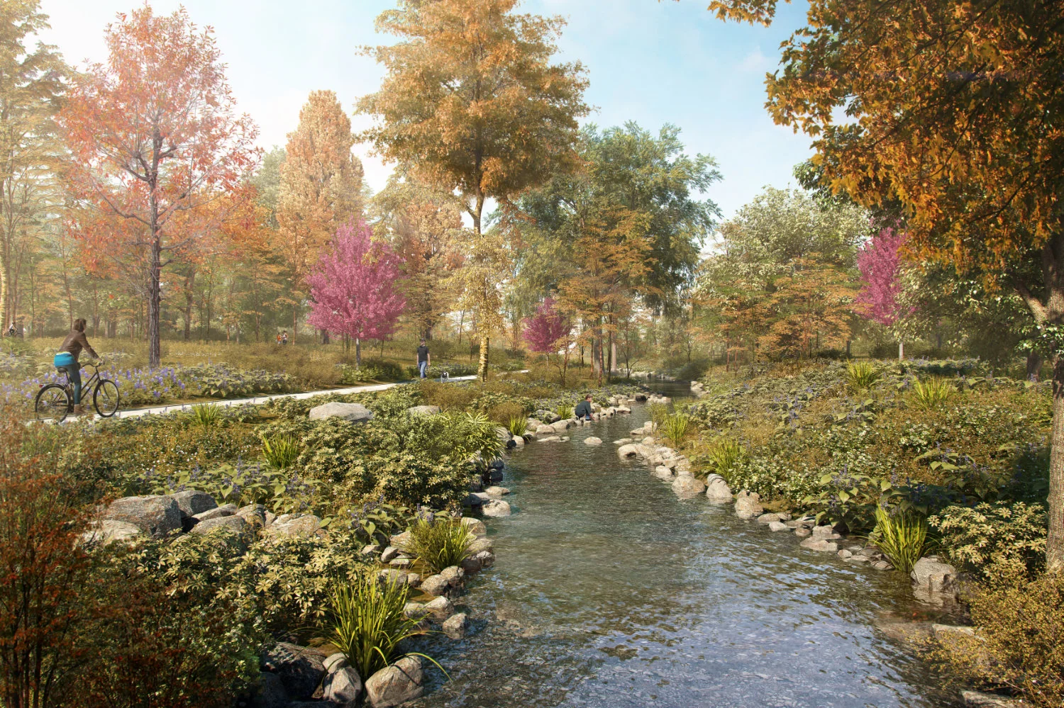 Rocky_Branch_5.jpg