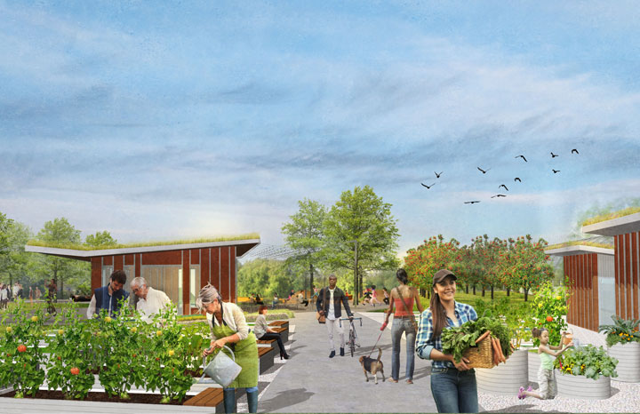 Community Garden Promenade