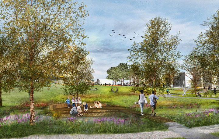 Wetland Classroom