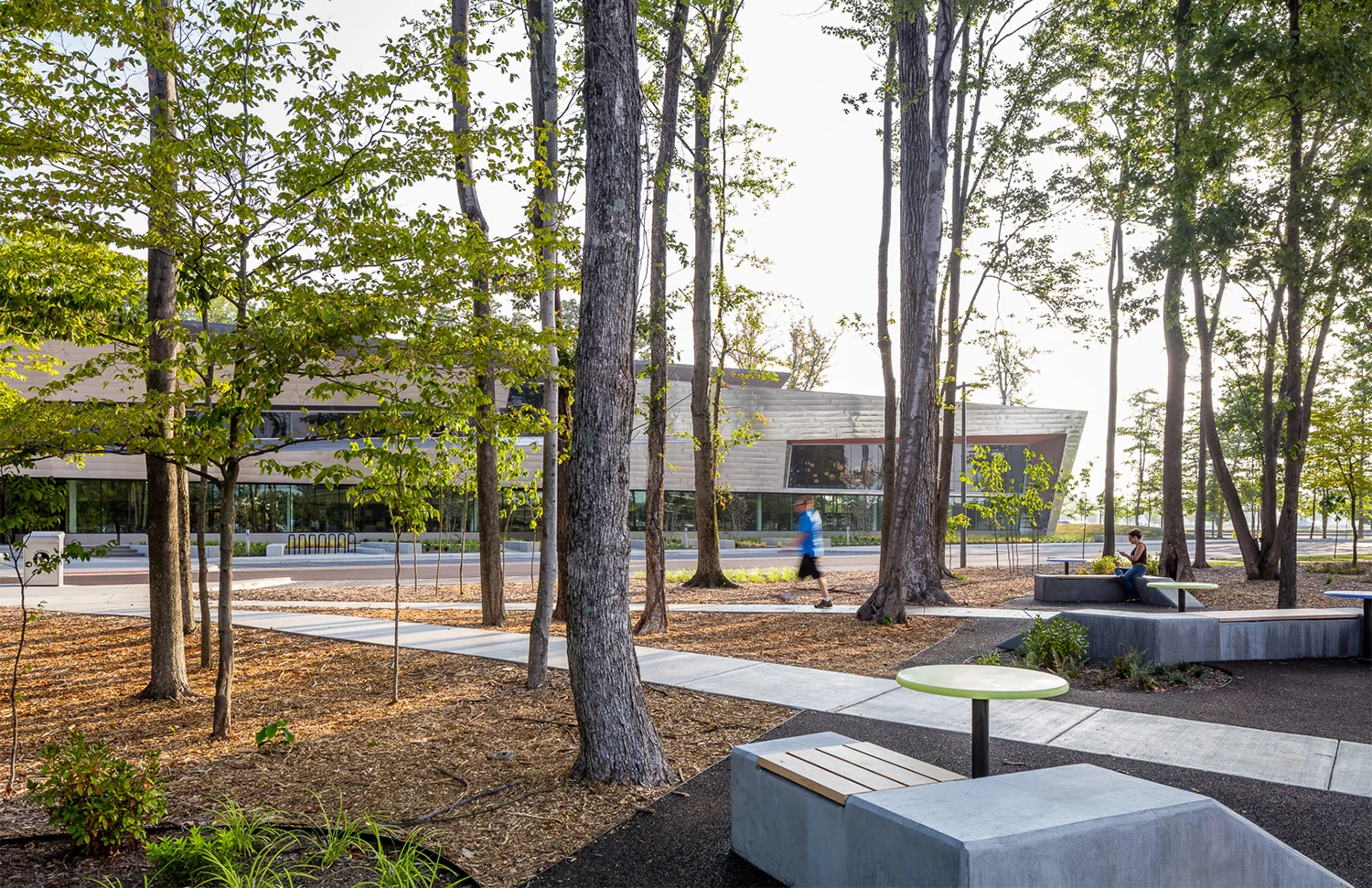 Integration of outdoor reading spaces into the manicured woodland setting.