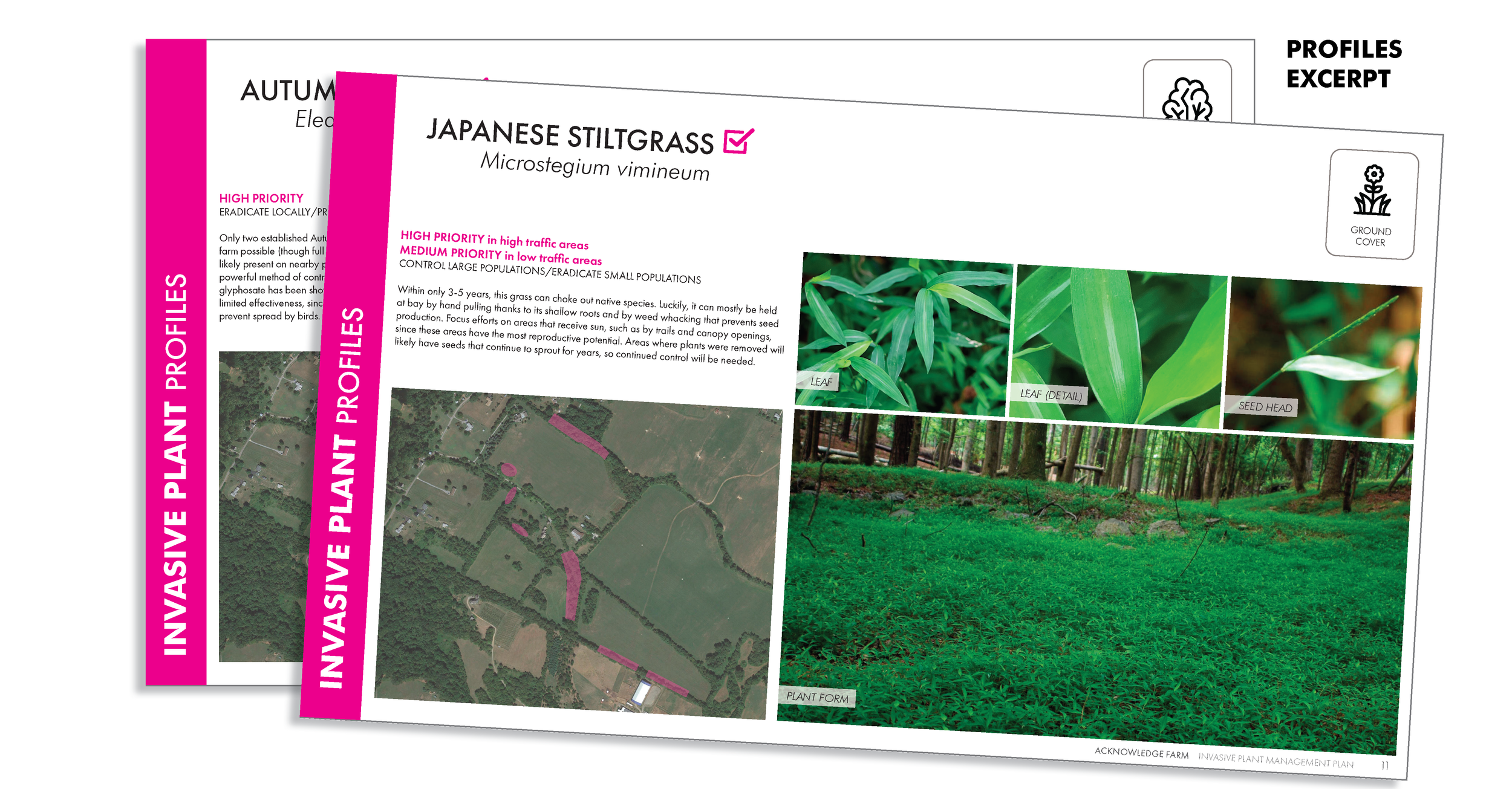 AcknowledgeFarms_learning-1.png