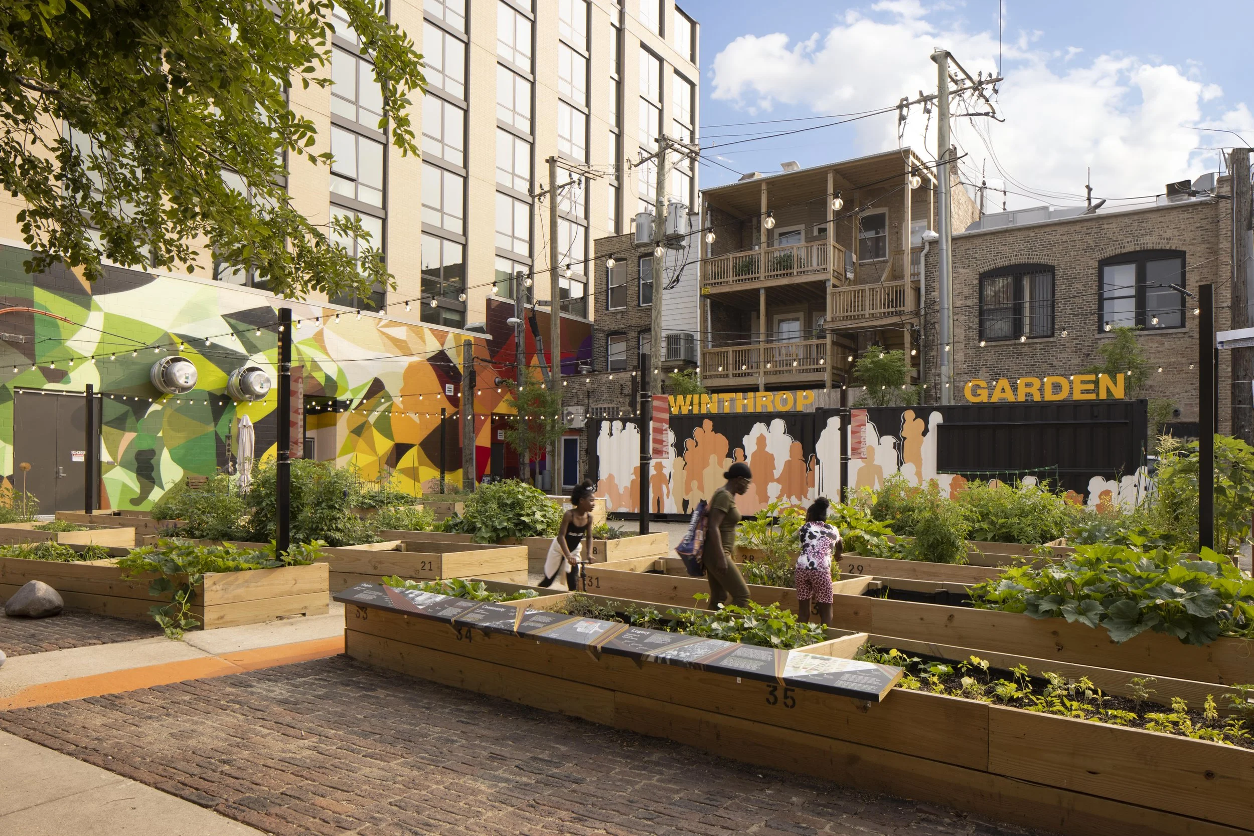 Community Impact Studio