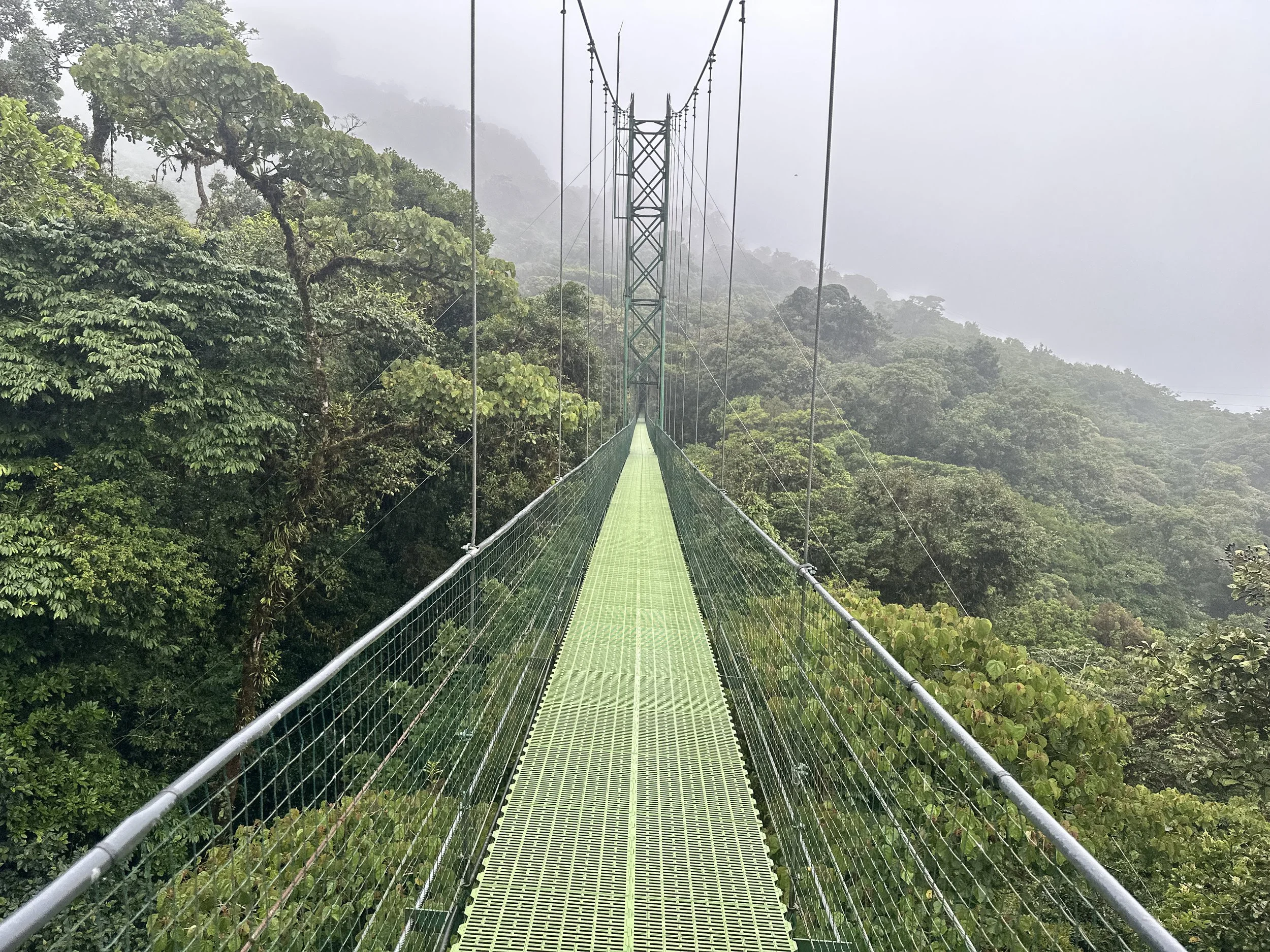  Monteverde is one of the world’s most biodiverse and climate sensitive cloud forests. 