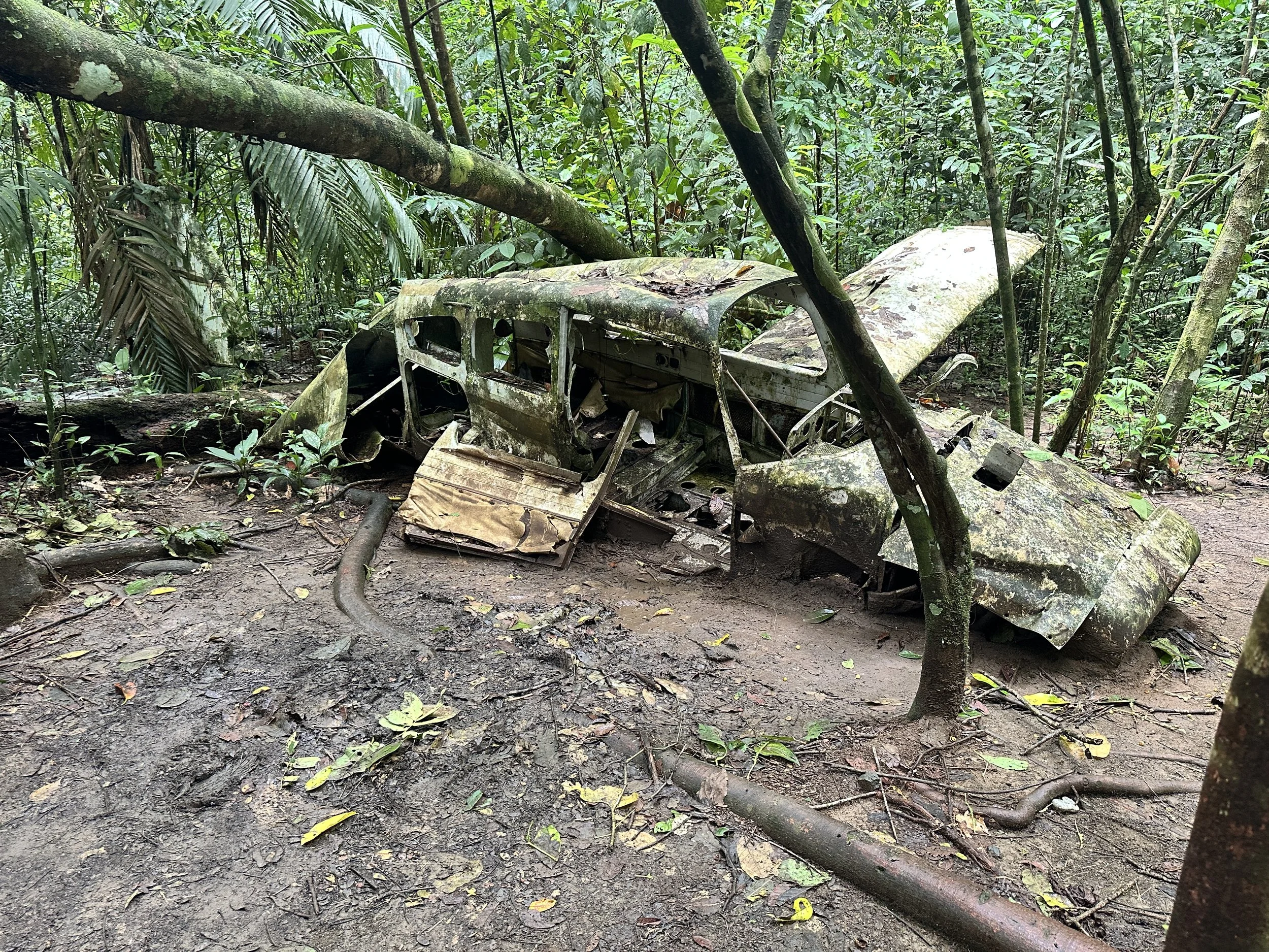  Parts of Corcovado’s coastline were once used as a small airstrip, later abandoned as conservation efforts expanded. 