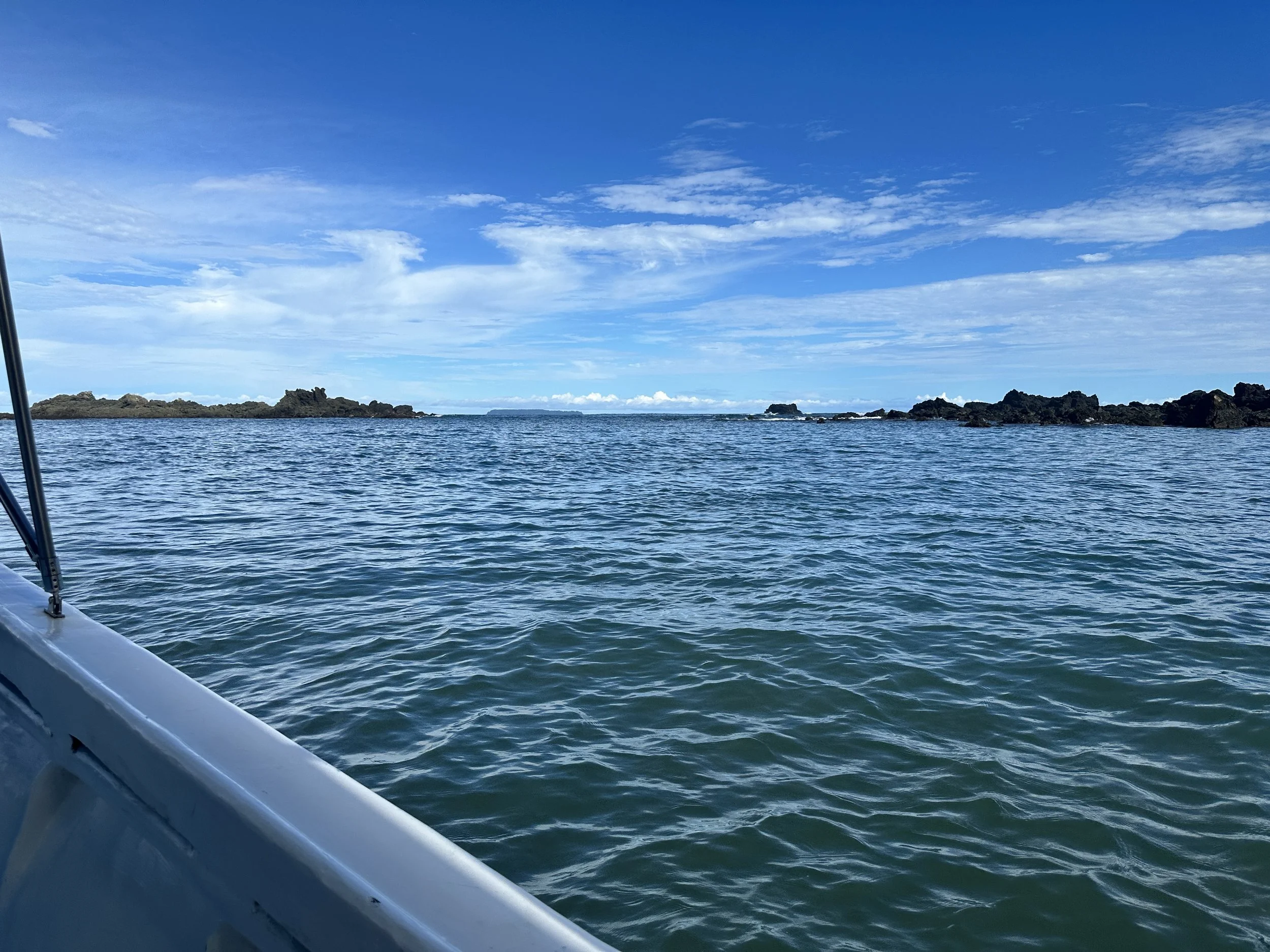  Cano Island is home to over 200 fish species and frequent sea turtle sightings, making it a marine biodiversity hotspot. 