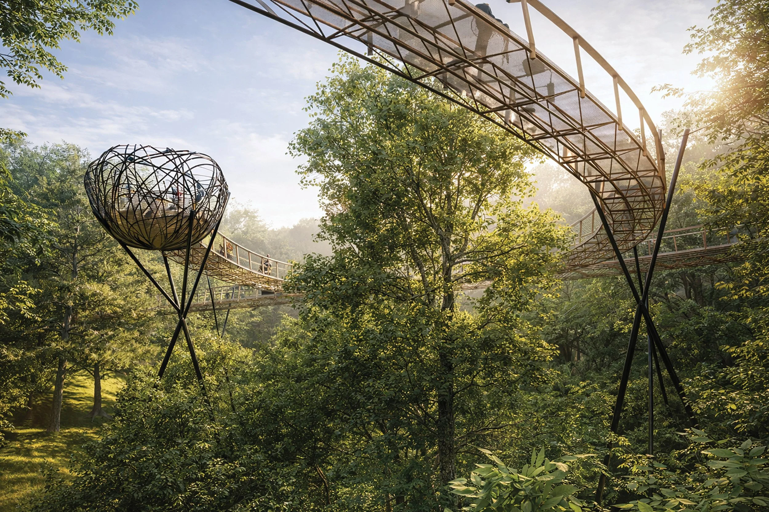  Canopy Walk &amp; Bird’s Nest 