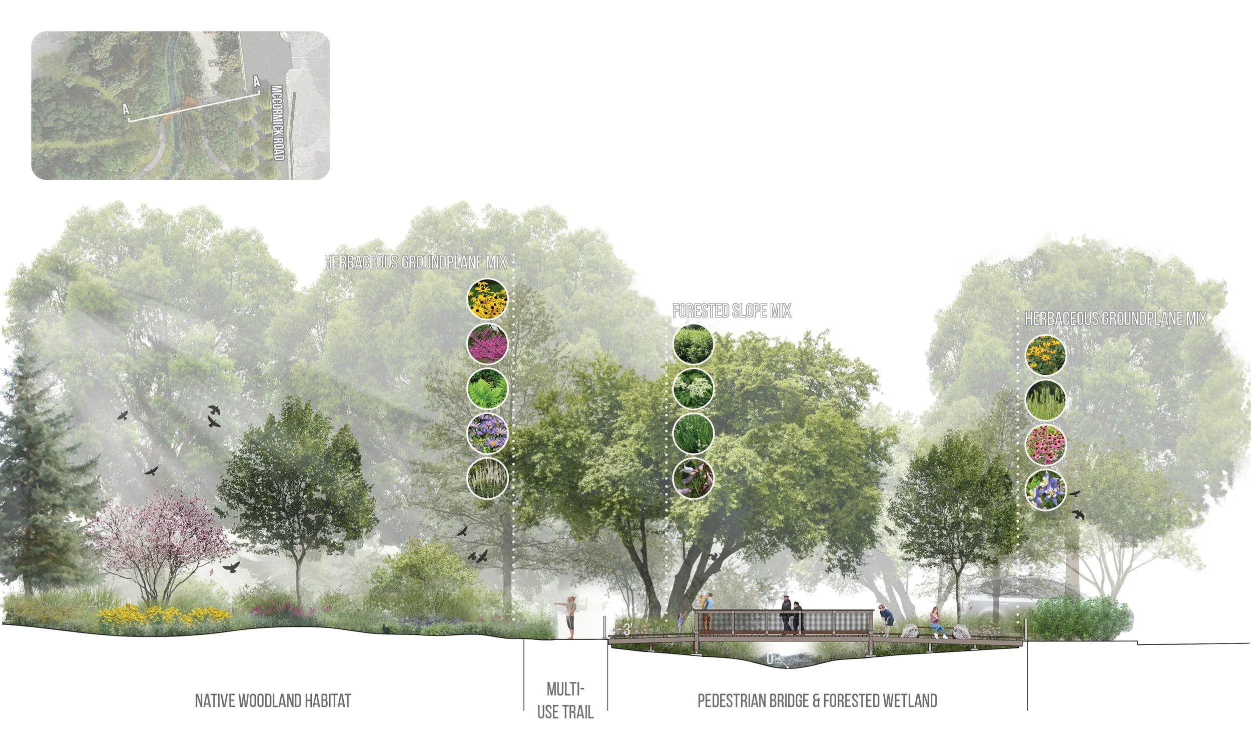 Todd’s Creek Relocation and Restoration Champions Biodiversity Enhancing Purdue University’s Horticulture Park