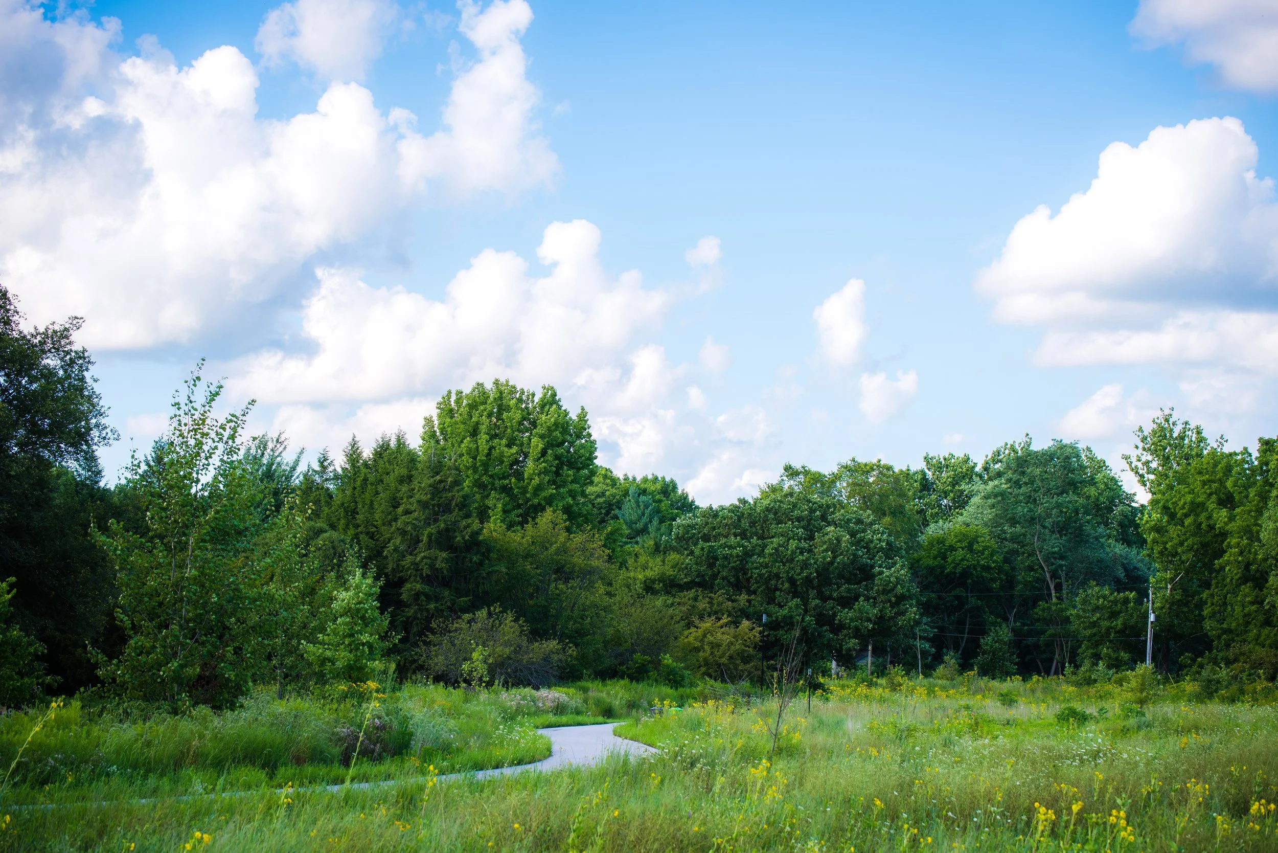 TODDS CREEK RELOCATION 19.jpg