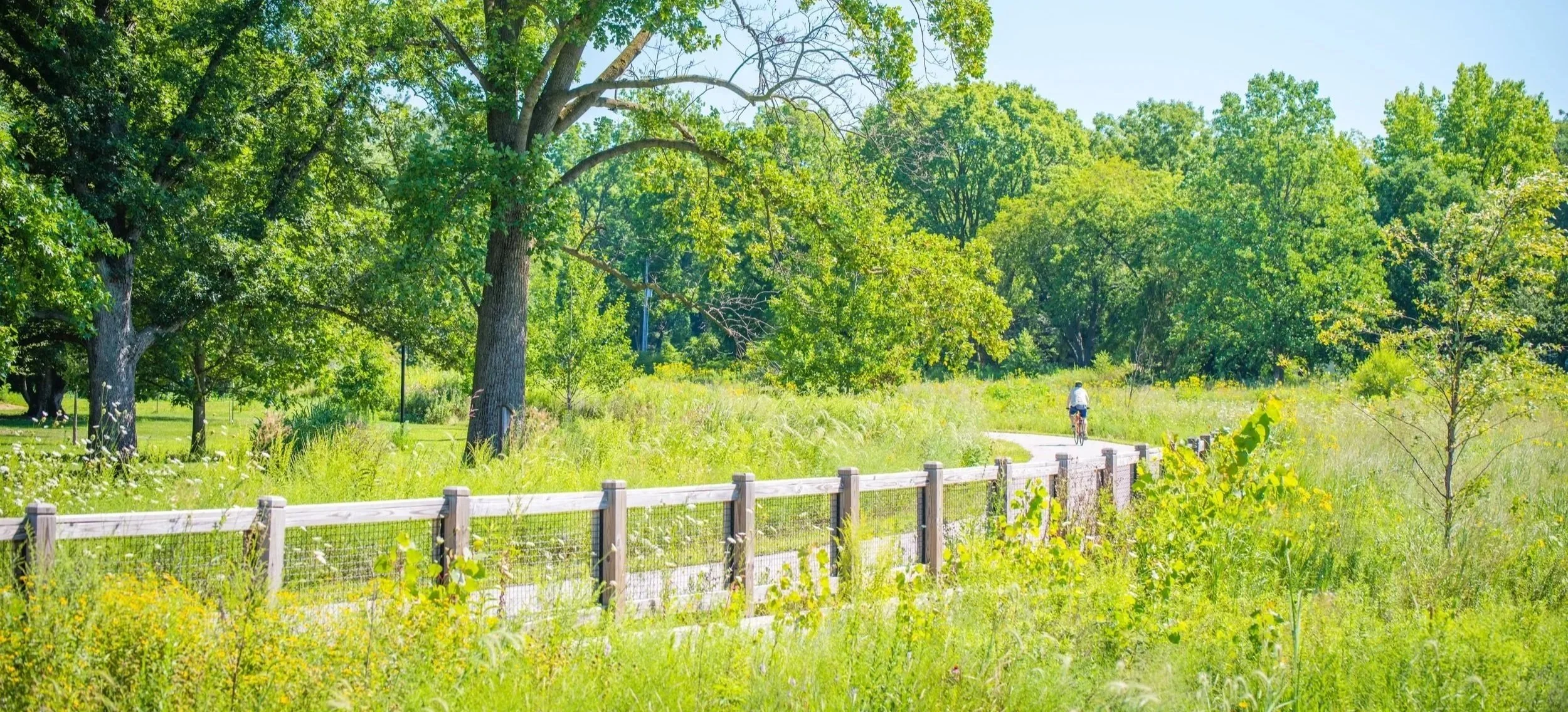 Todd's Creek Relocation and Restoration