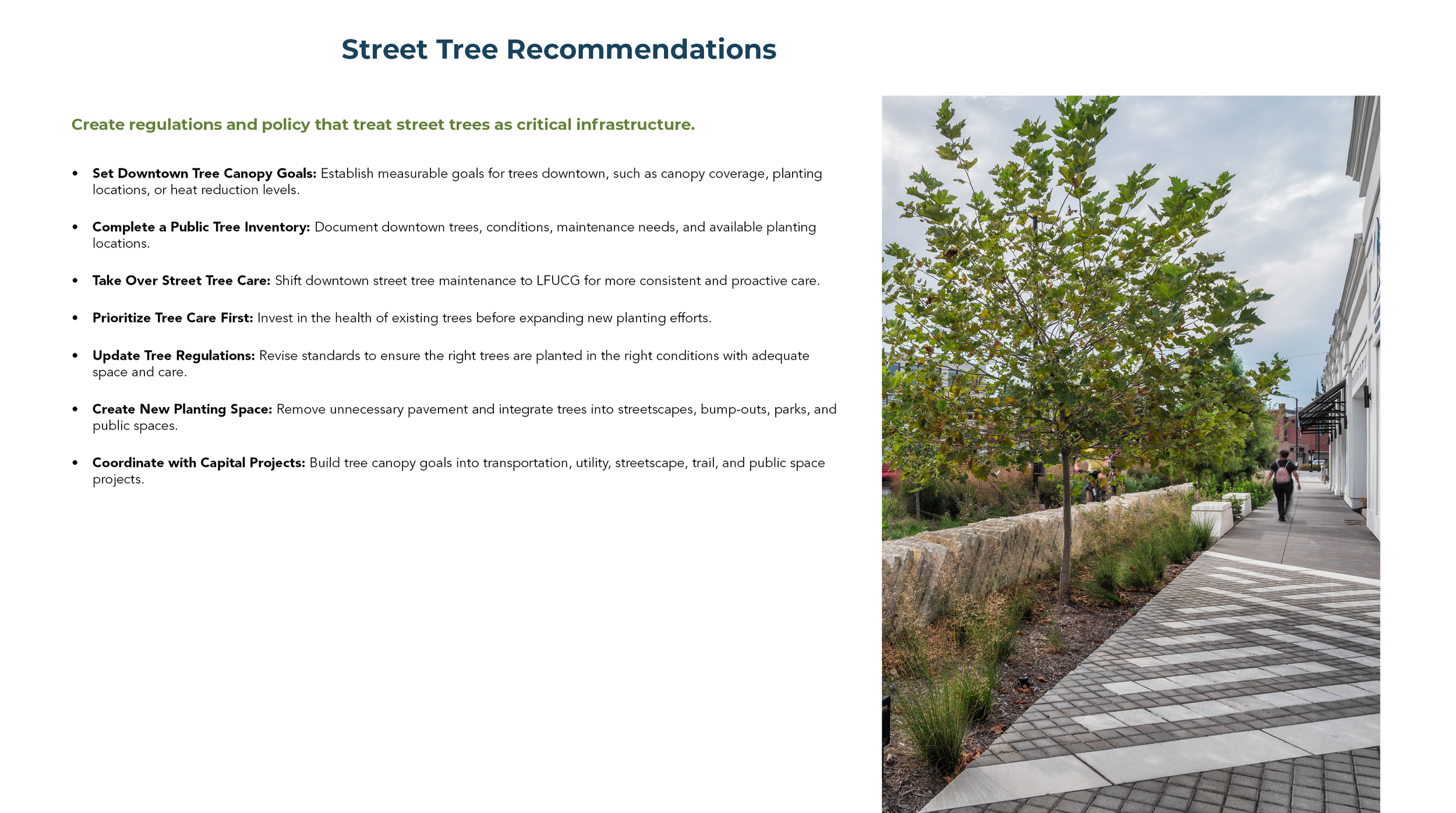 Street+Tree+Recommendations.png