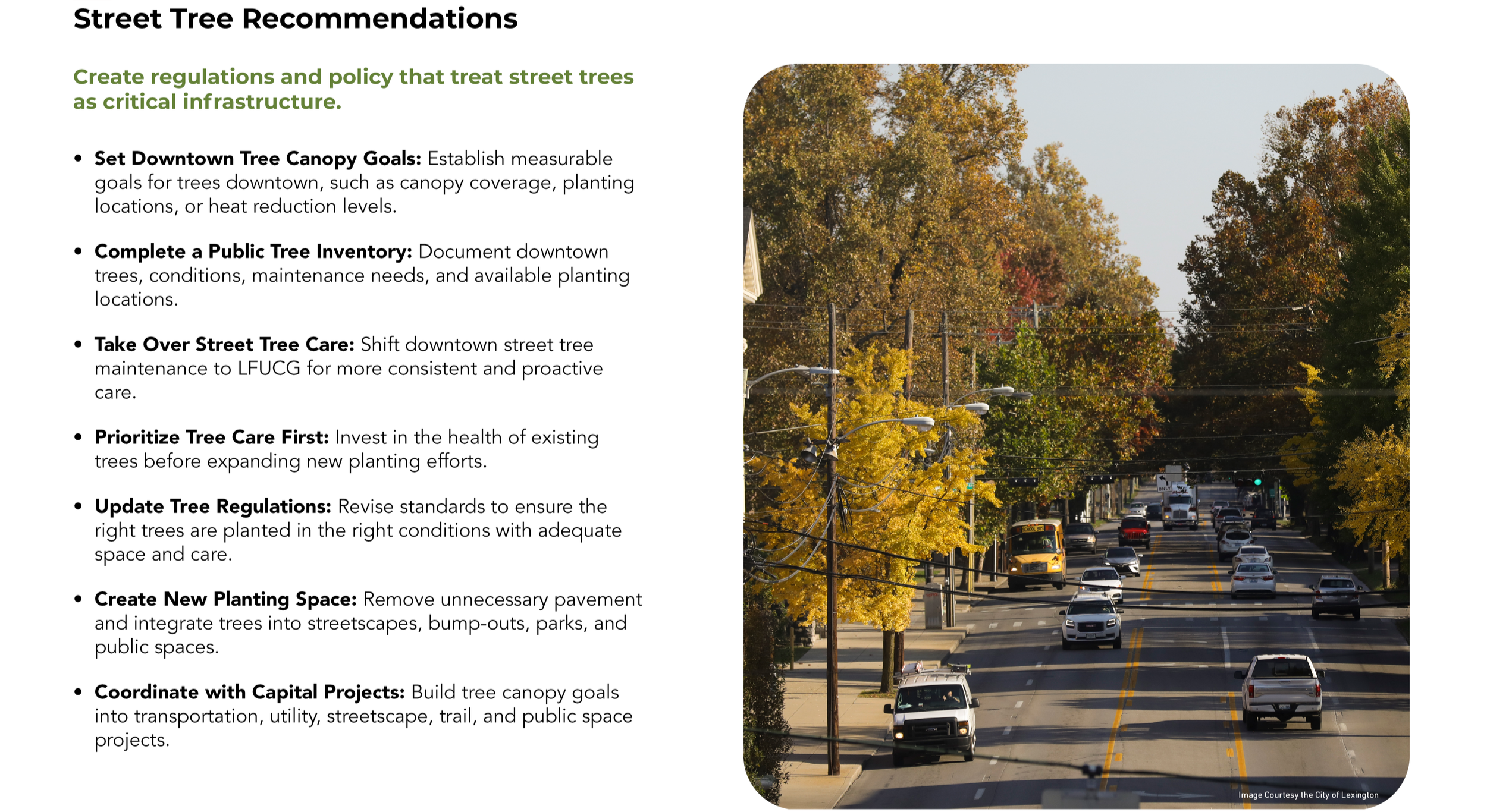 Street%2BTree%2BRecommendations.png