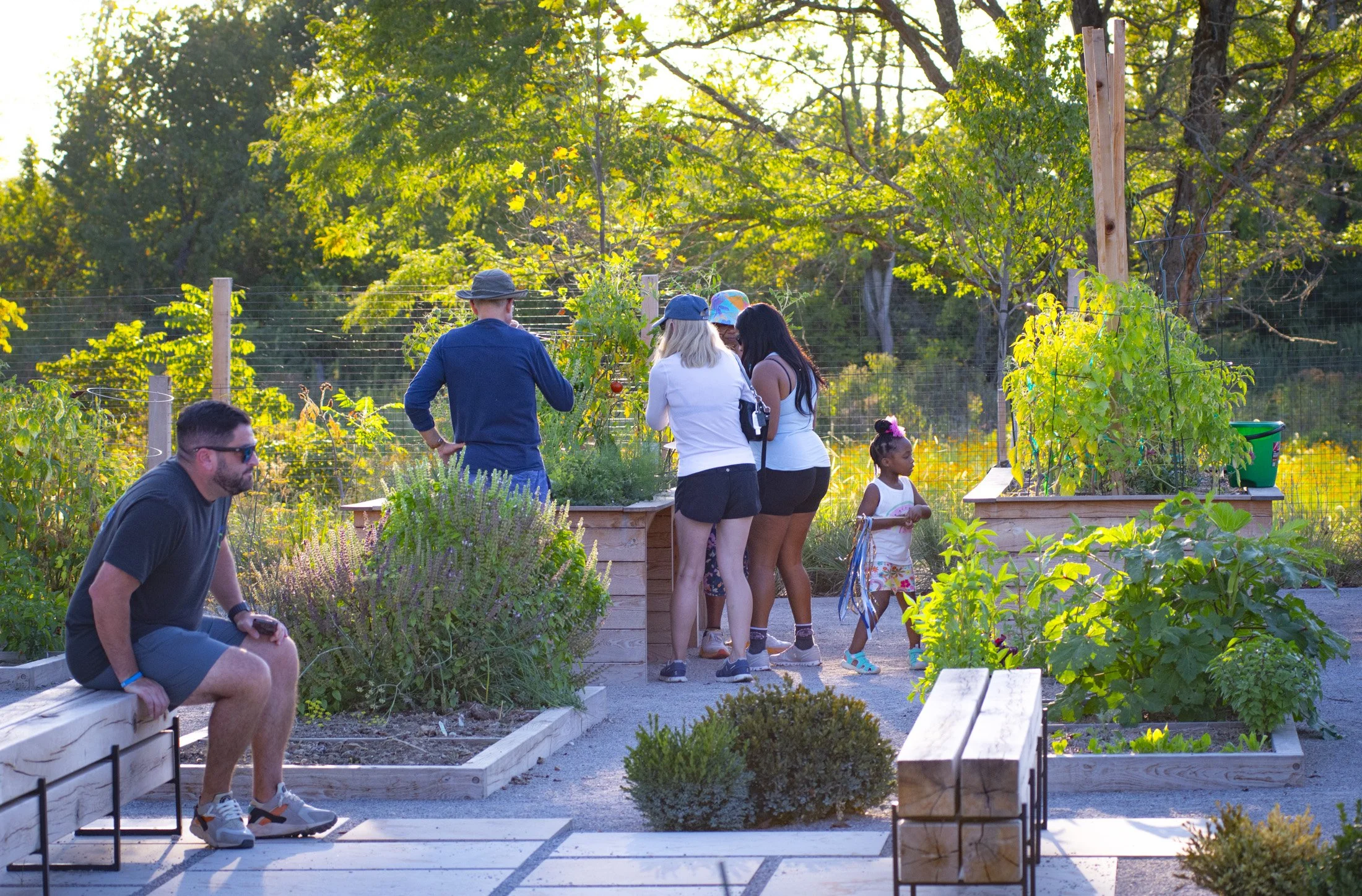 Taylor Farm Park 05.JPG
