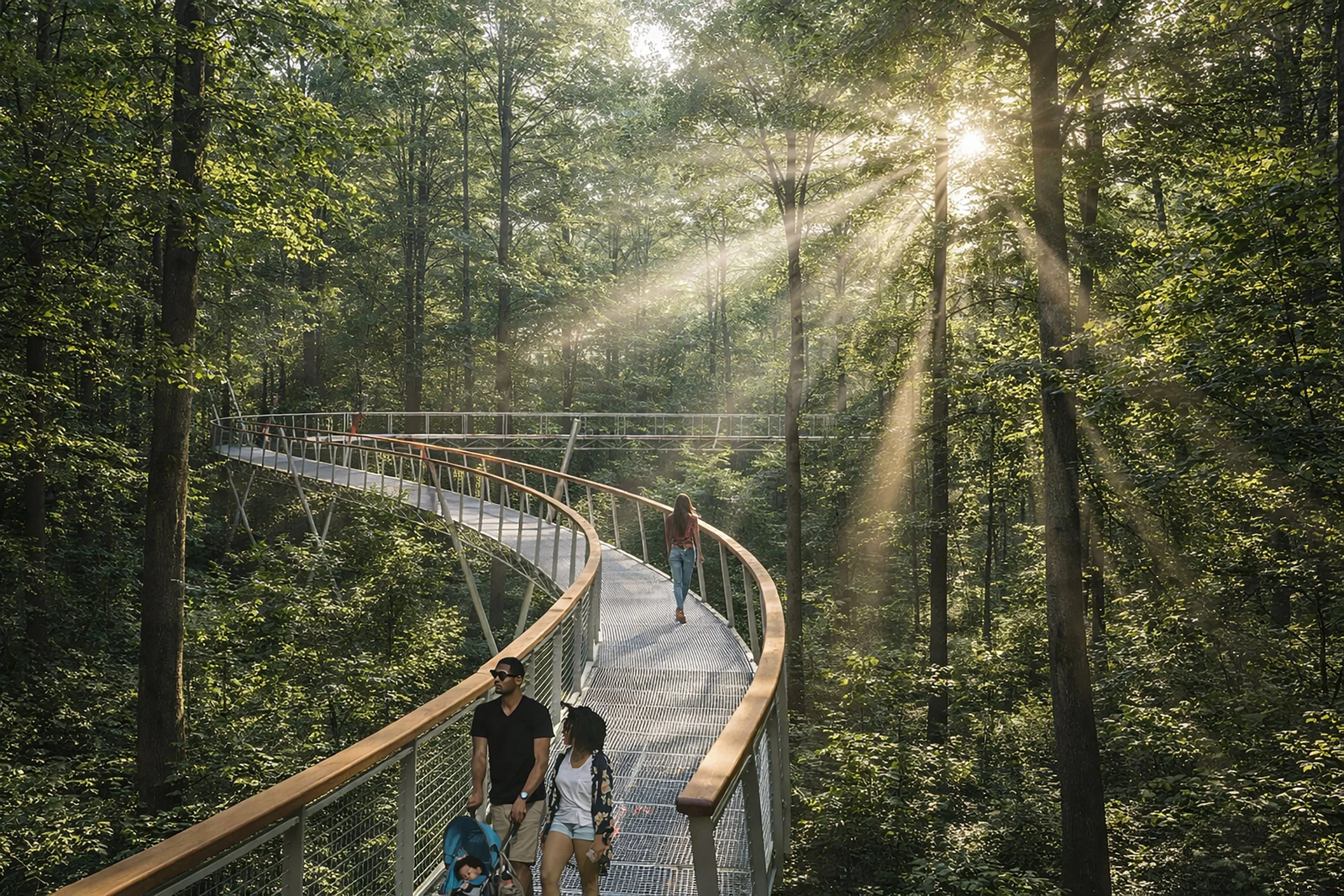 JMF Canopy Walk