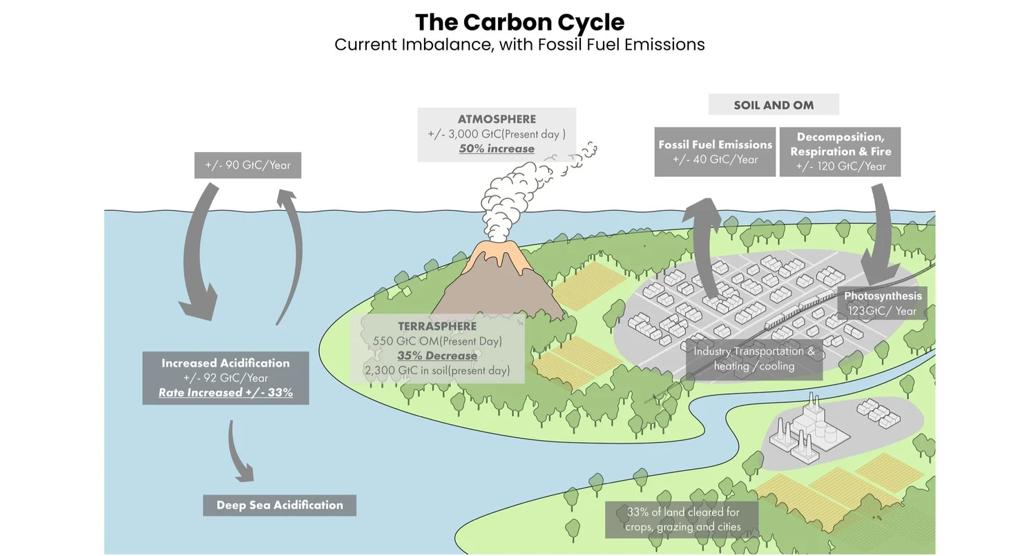 Designing for Impact: Embodied Carbon and Climate Accountability — MKSK ...